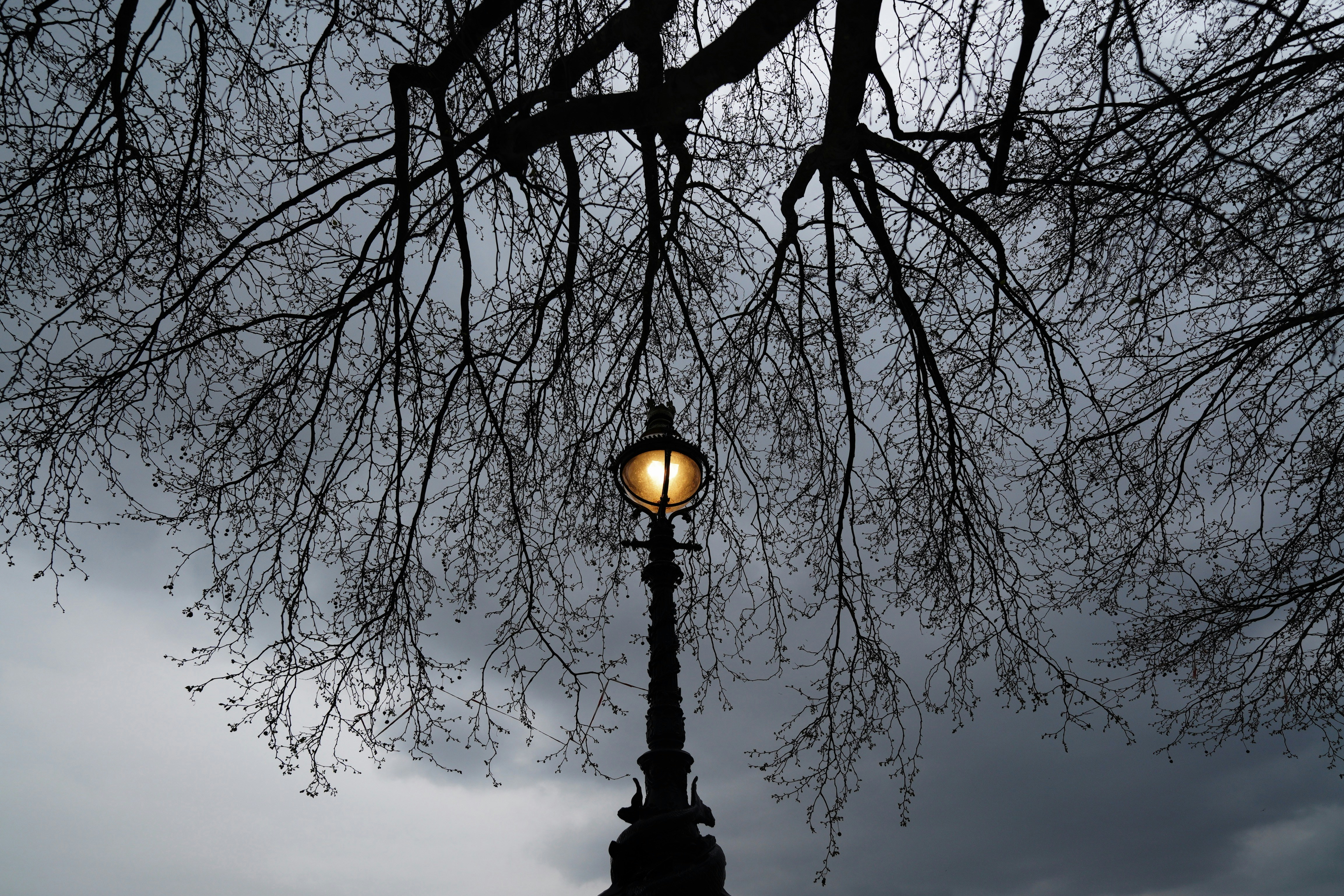 uma luz de rua com uma árvore ao fundo
