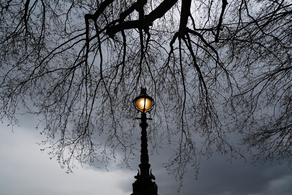 eine Straßenlaterne mit einem Baum im Hintergrund