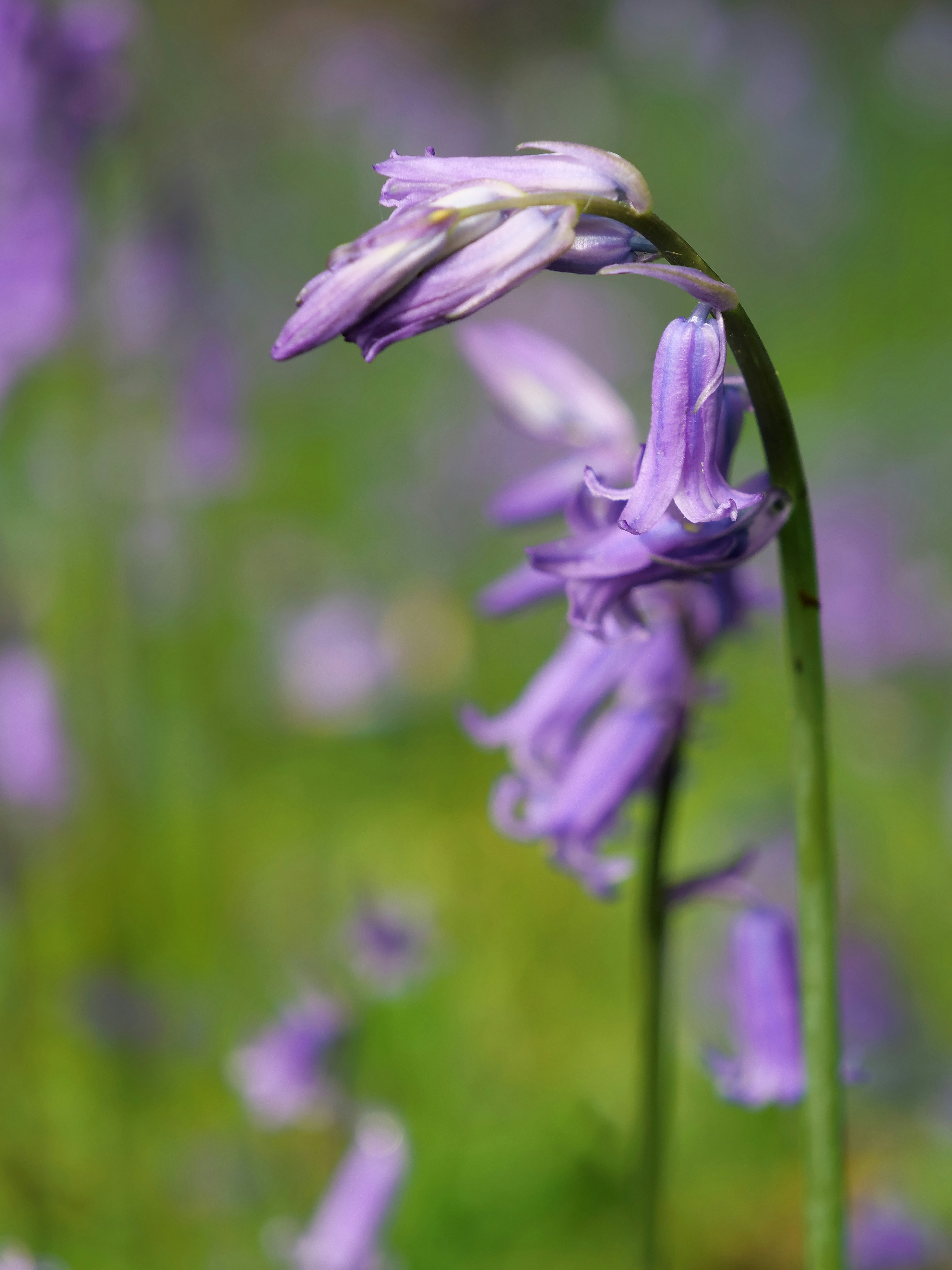 Photo by balmy_sunset