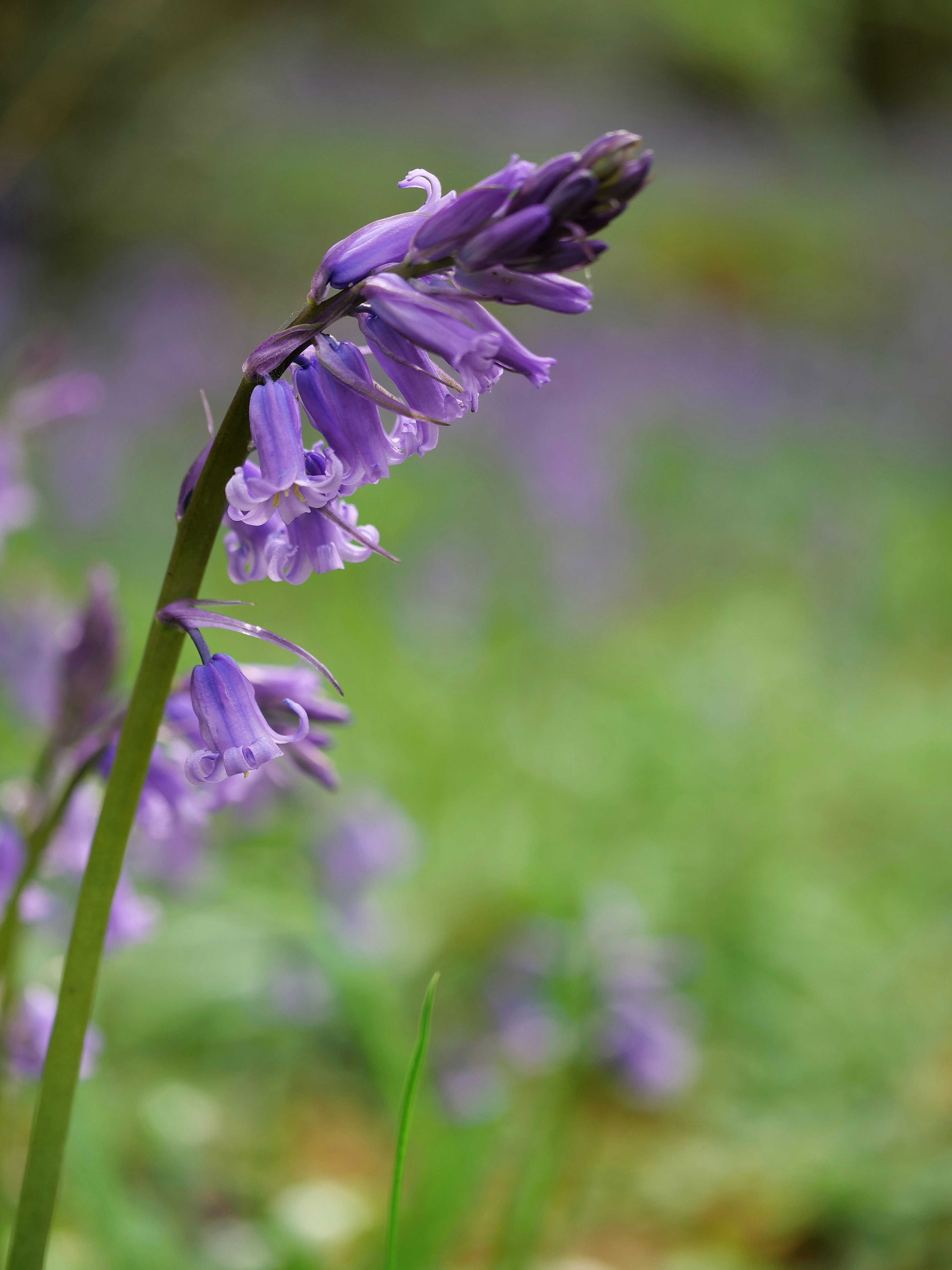 Photo by balmy_sunset