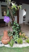 A garden scene featuring a large clay pot with a decorative chain around its neck, surrounded by small green plants and ferns planted in a bed of white pebbles. A wooden post is centrally positioned, adorned with vibrant green leaves and a striking purple orchid. The background includes a partial view of an interior space with a visible tiled floor, furniture, and an open door leading possibly to a garage with a glimpse of a car.