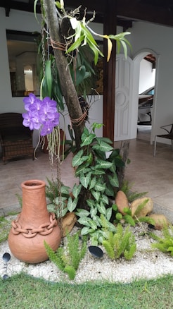 A garden scene featuring a large clay pot with a decorative chain around its neck, surrounded by small green plants and ferns planted in a bed of white pebbles. A wooden post is centrally positioned, adorned with vibrant green leaves and a striking purple orchid. The background includes a partial view of an interior space with a visible tiled floor, furniture, and an open door leading possibly to a garage with a glimpse of a car.
