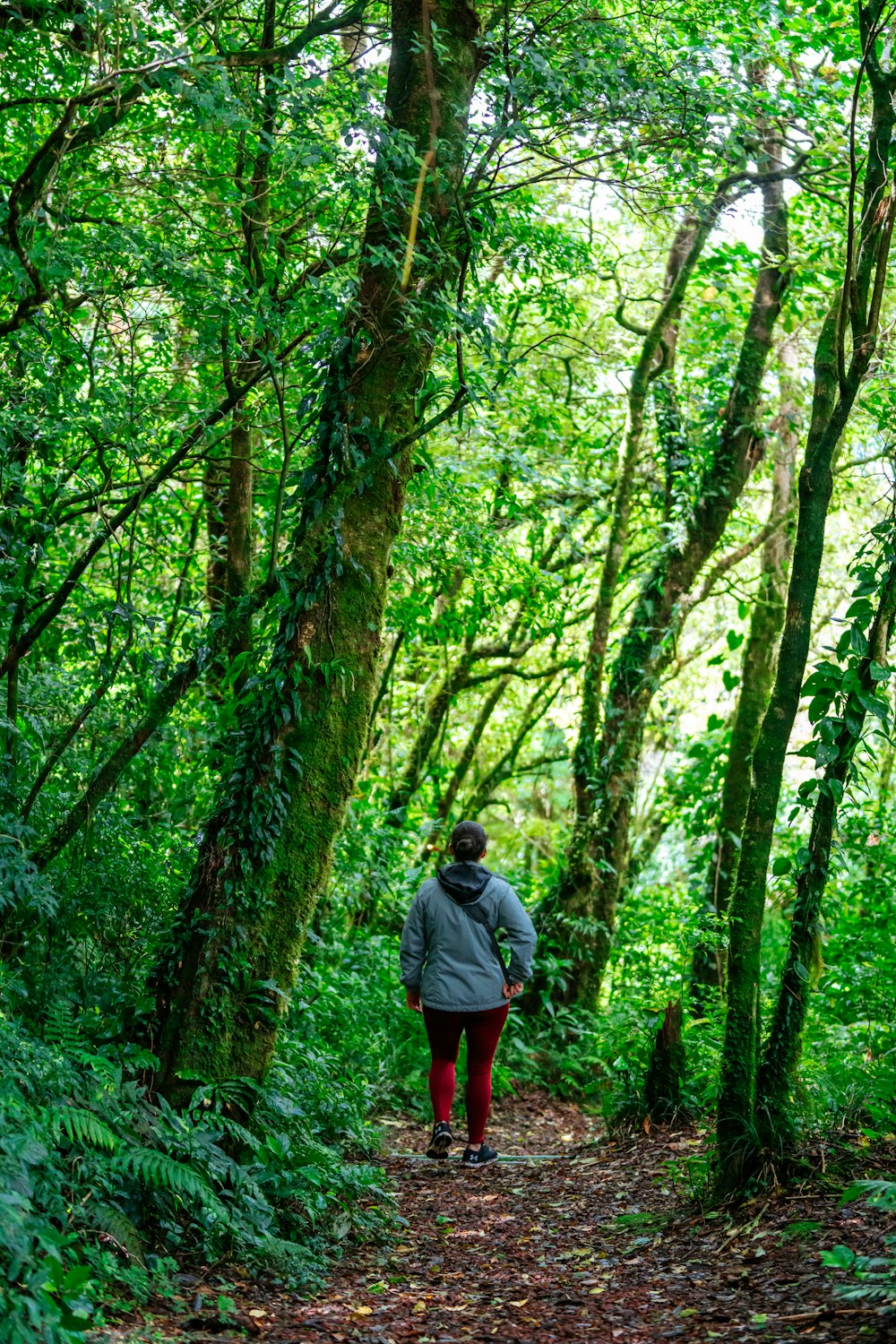 a woman walking down a trail in the woods