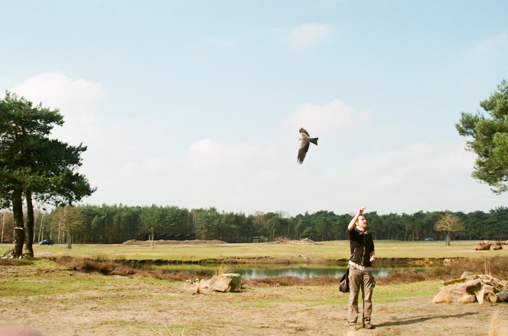 a man is flying a bird in a field