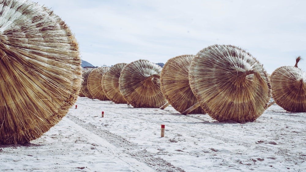 a row of straw umbrellas sitting on top of snow covered ground