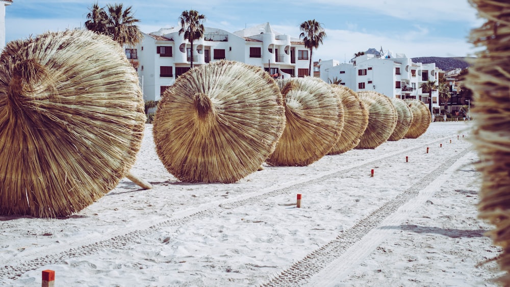 a row of straw umbrellas sitting on top of a sandy beach