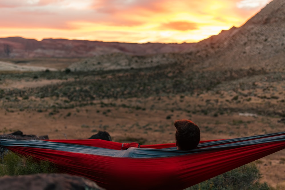 a cat sitting in a hammock in the desert