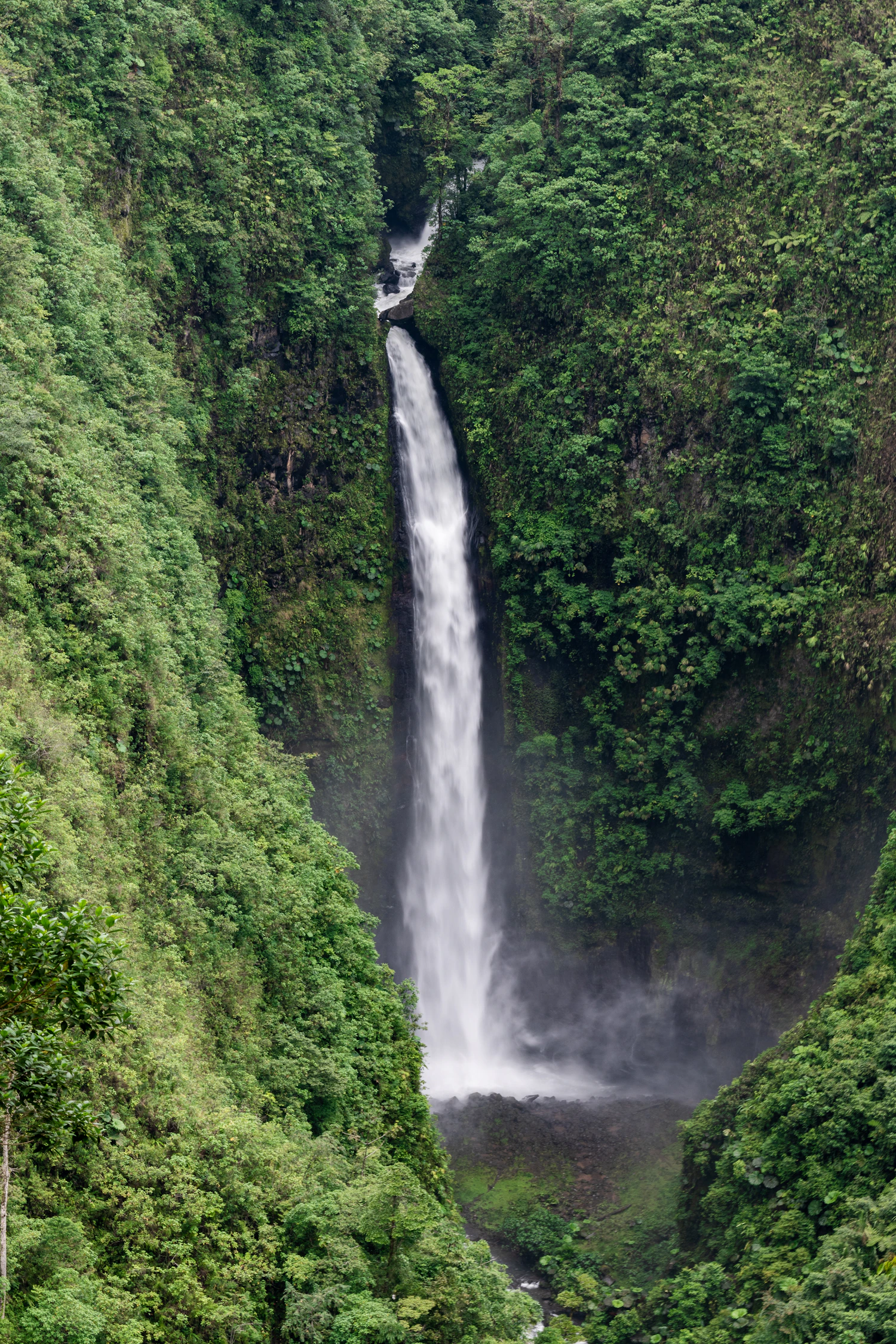 Illustrative tropical waterfall surrounded by green rainforest