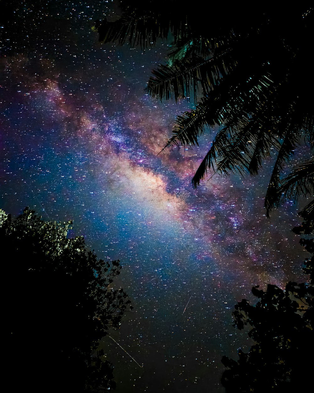 the night sky is filled with stars and trees