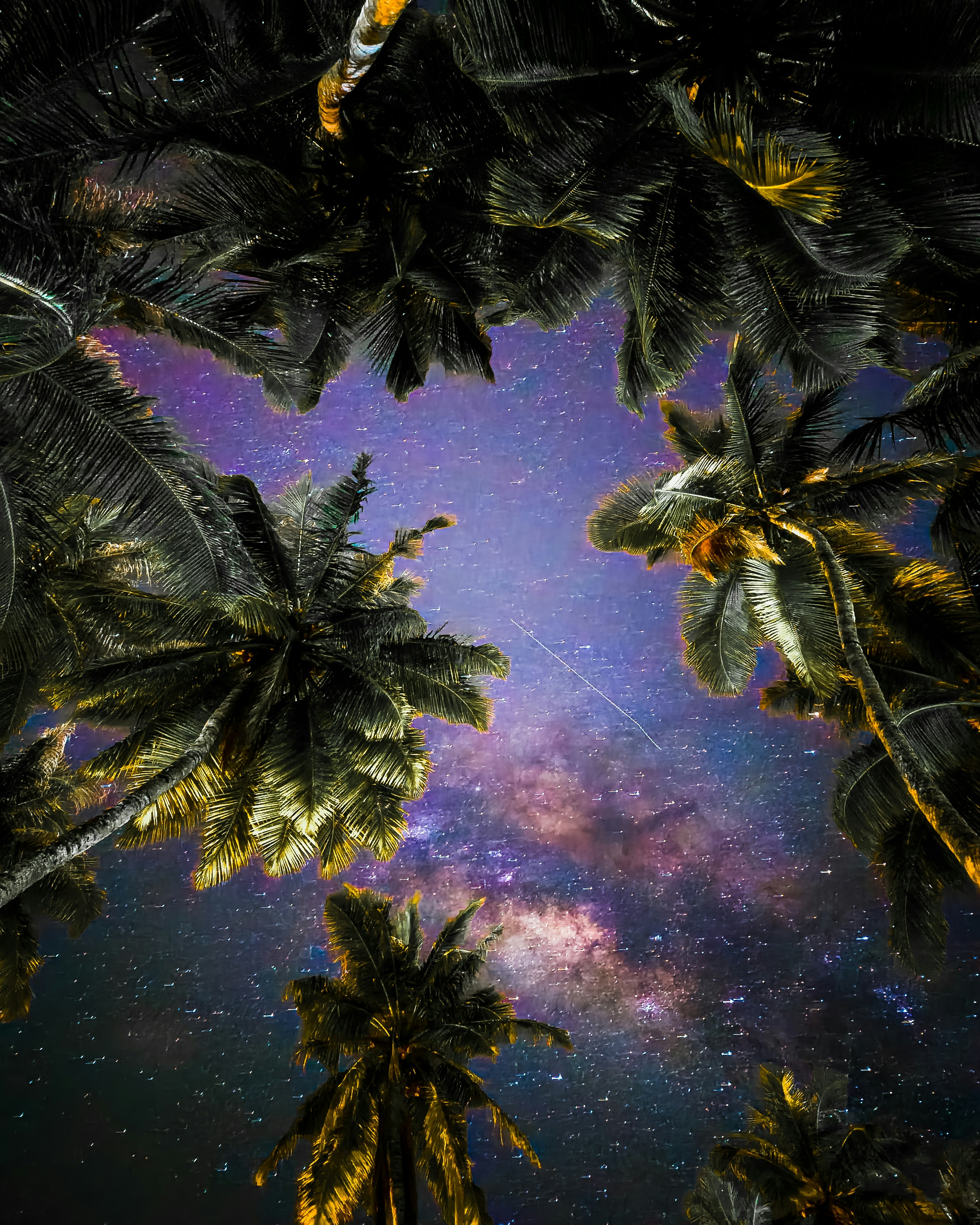 a night sky with palm trees and the milky