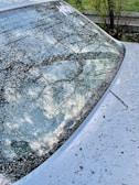 A car's windshield and hood covered with scattered small white spots, possibly from snow or hail, reflecting a cloudy sky and silhouetted branches of a tree. The surroundings include green grass and a few bushes, suggesting an outdoor setting.