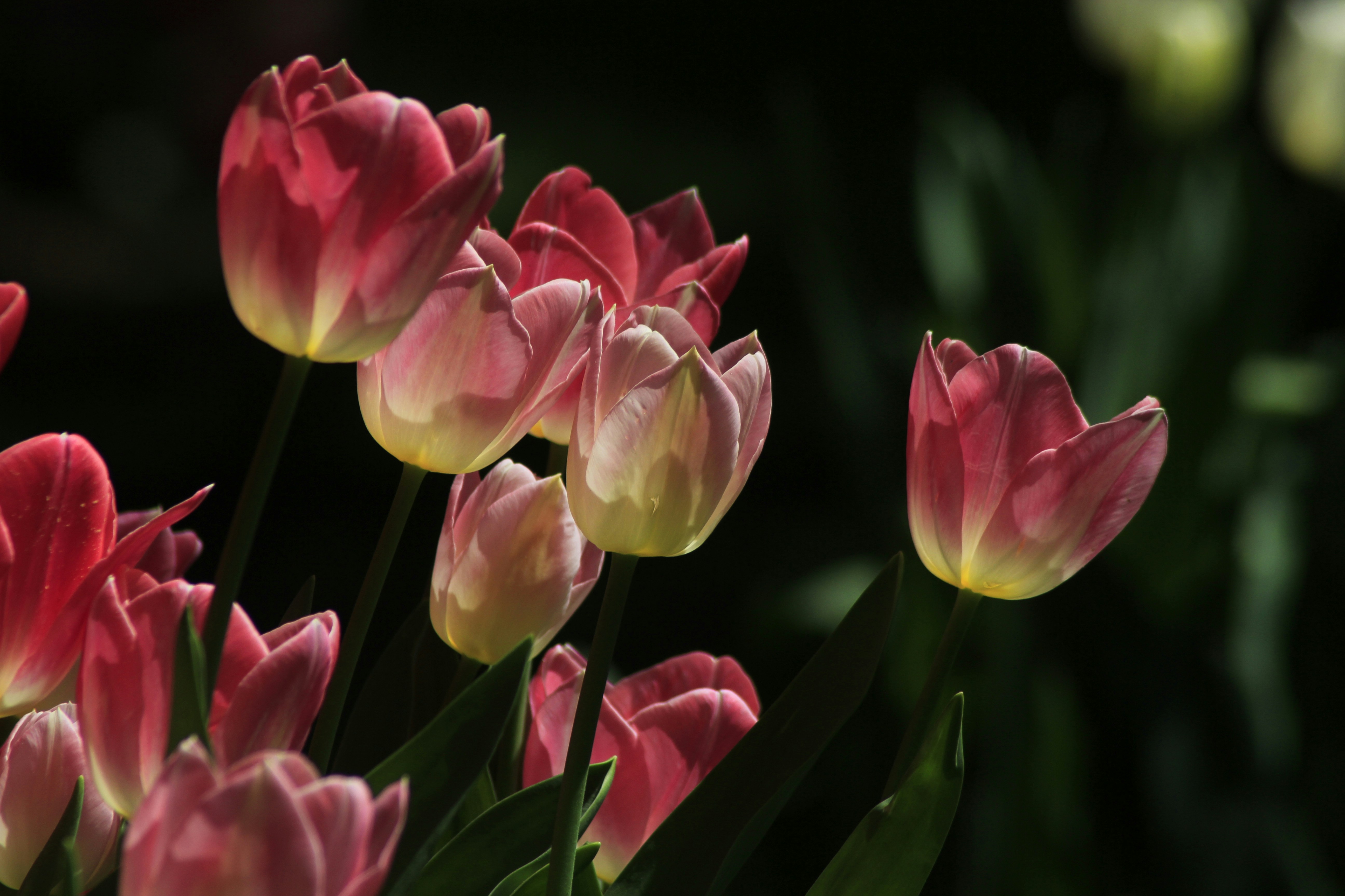 Photo by mon_declencheur