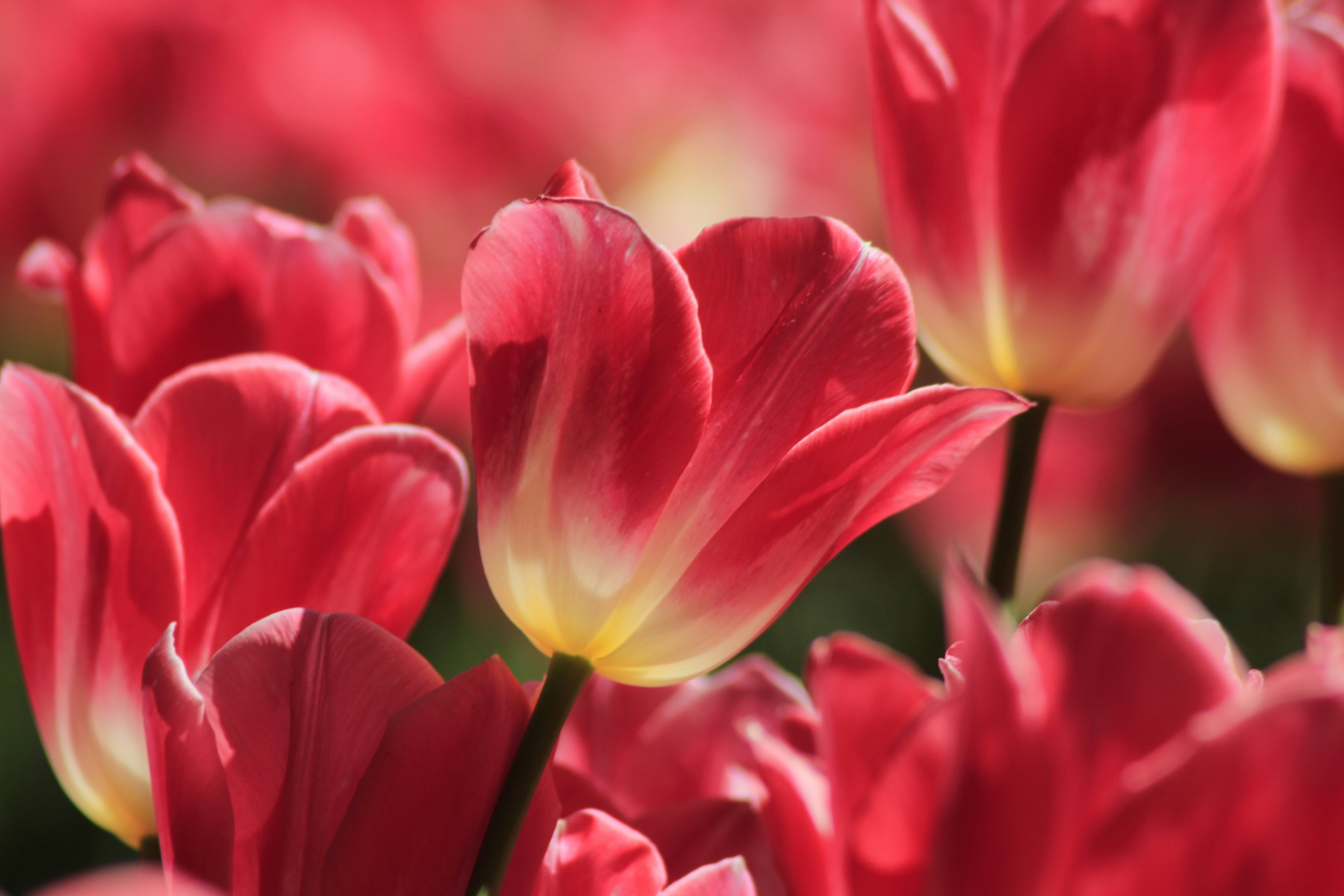 Photo by mon_declencheur