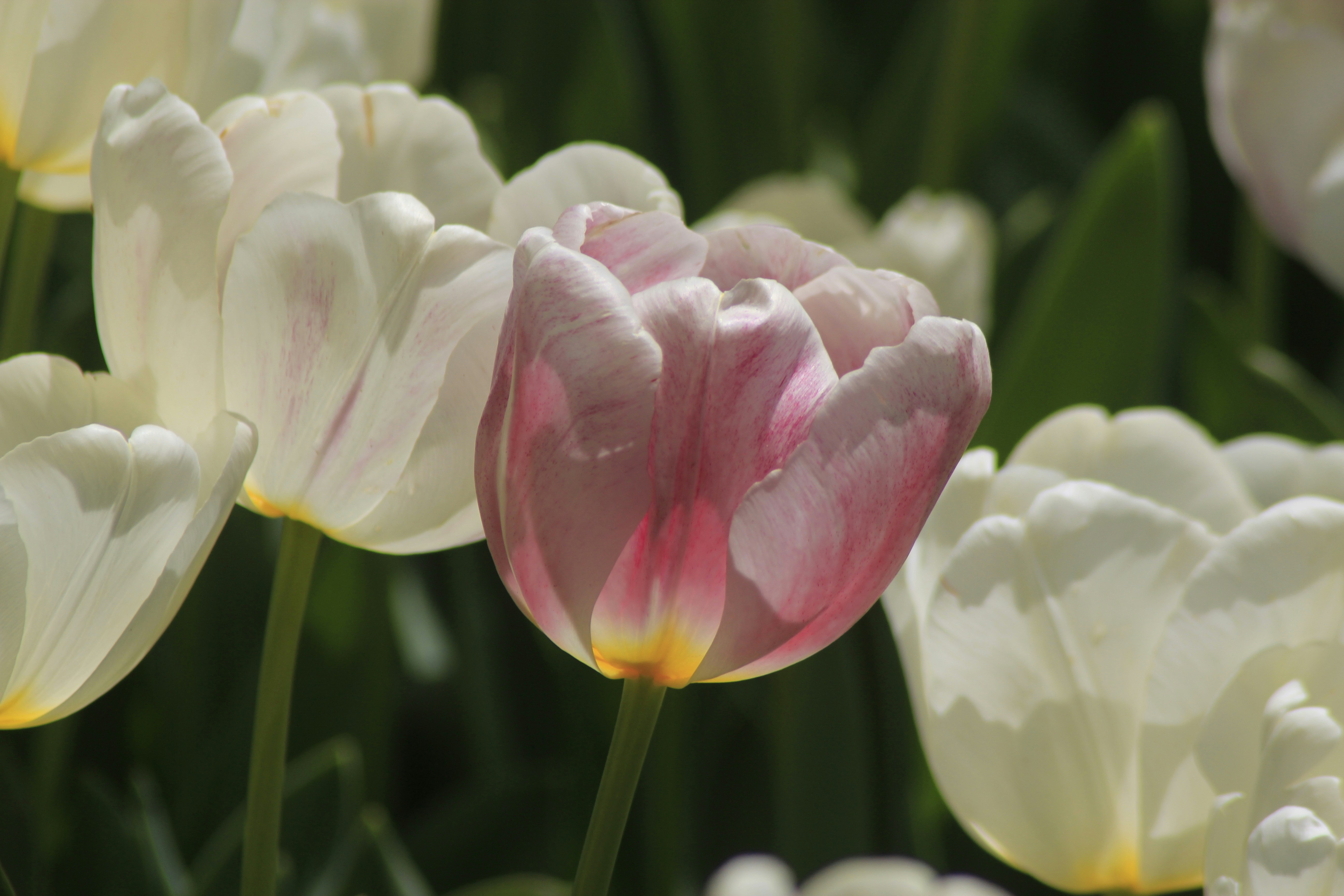 Photo by mon_declencheur