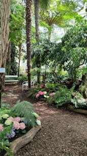 A lush indoor garden filled with various tropical plants and palm trees. The floor is covered with bark mulch, and there are colorful hydrangeas and ferns scattered across the ground. A white bench is situated among the greenery, creating a peaceful seating area under a canopy of leaves. Sunlight filters through the glass ceiling, illuminating the vibrant foliage.
