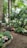 A lush indoor garden filled with various tropical plants and palm trees. The floor is covered with bark mulch, and there are colorful hydrangeas and ferns scattered across the ground. A white bench is situated among the greenery, creating a peaceful seating area under a canopy of leaves. Sunlight filters through the glass ceiling, illuminating the vibrant foliage.