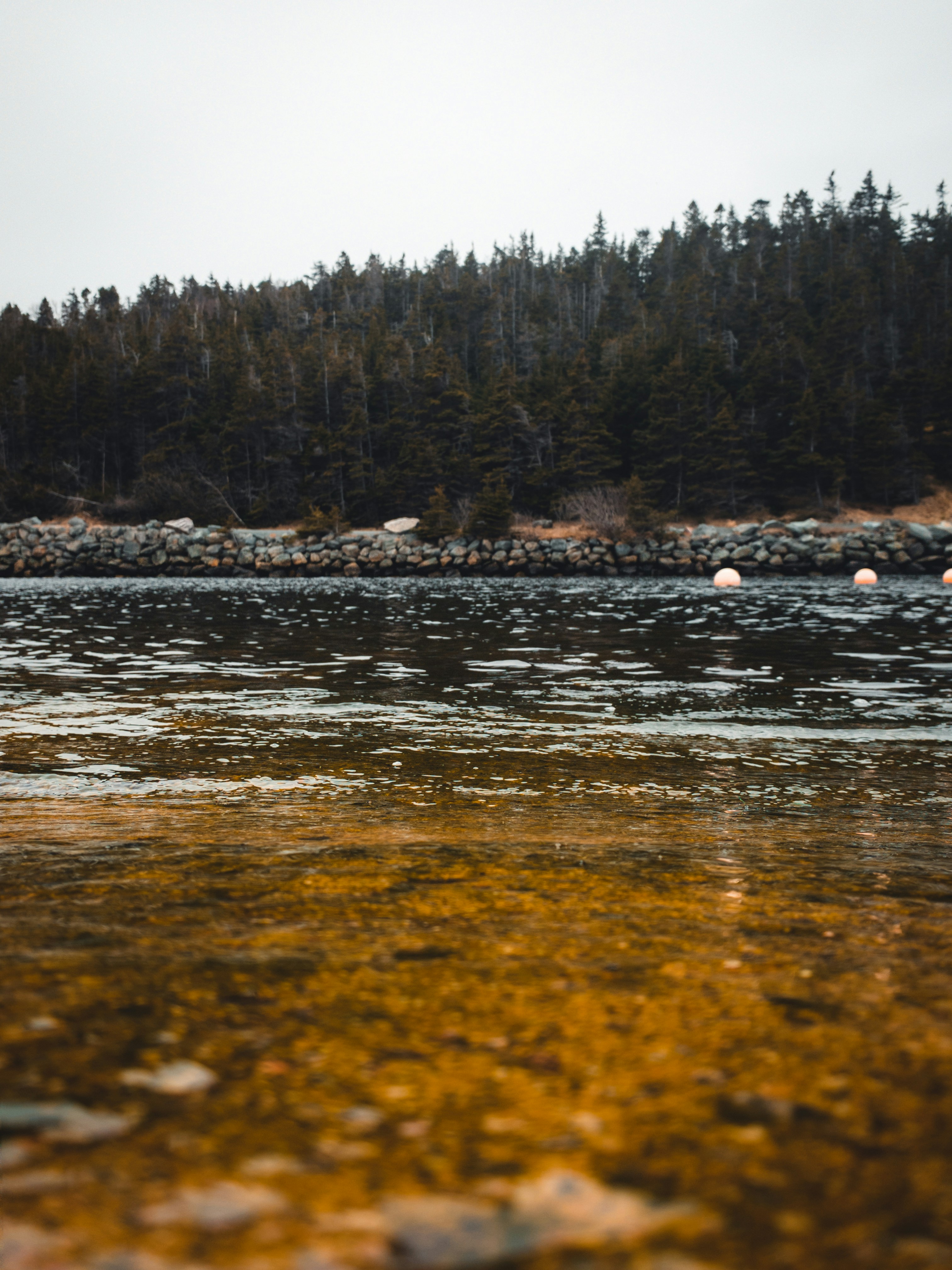 Photo by introspectivedsgn