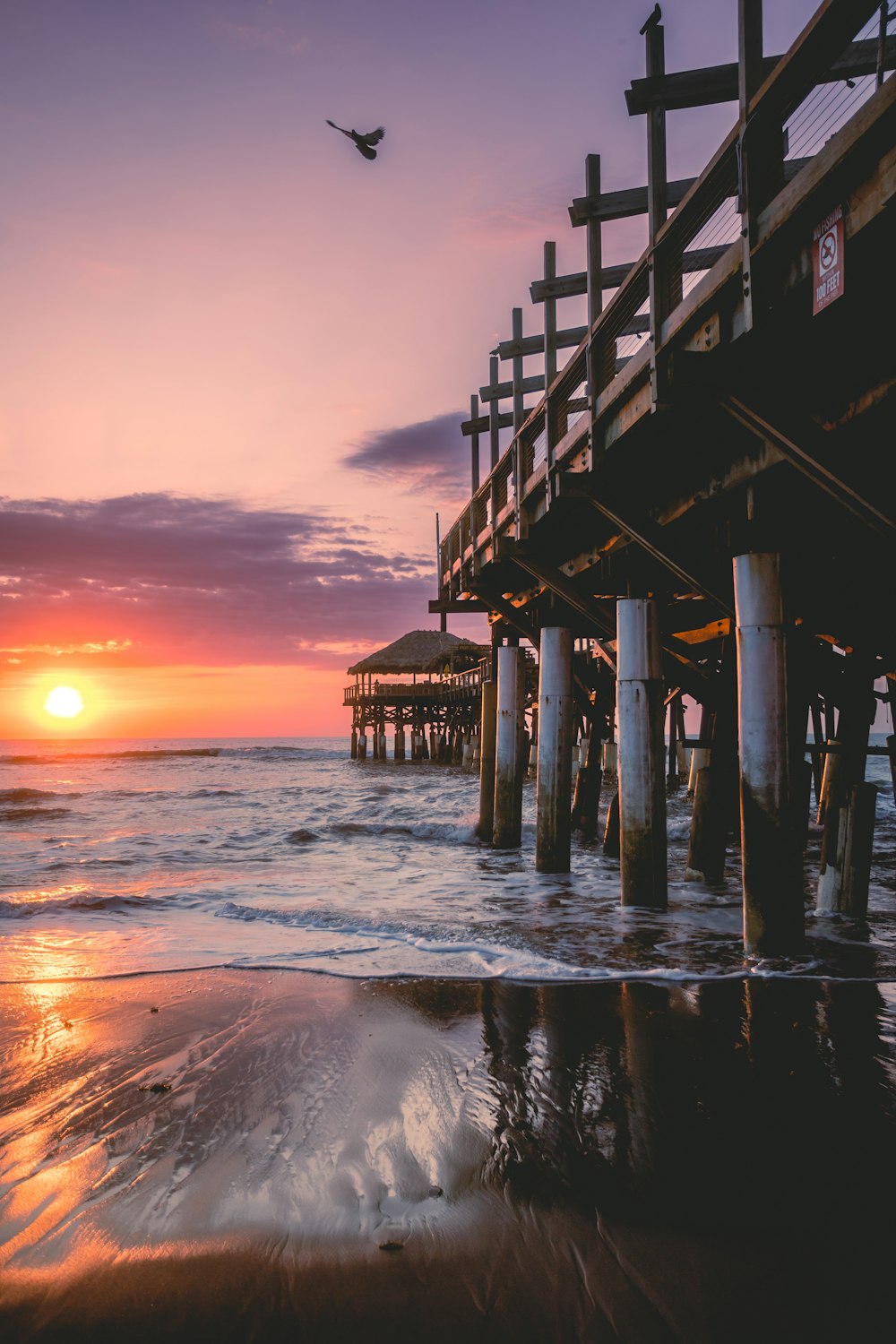 a bird flying over the ocean next to a pier