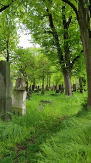 A peaceful old graveyard in Thomasville, Georgia, with moss-covered headstones and towering oak trees.