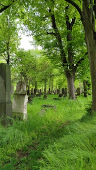 A peaceful old graveyard in Thomasville, Georgia, with moss-covered headstones and towering oak trees.