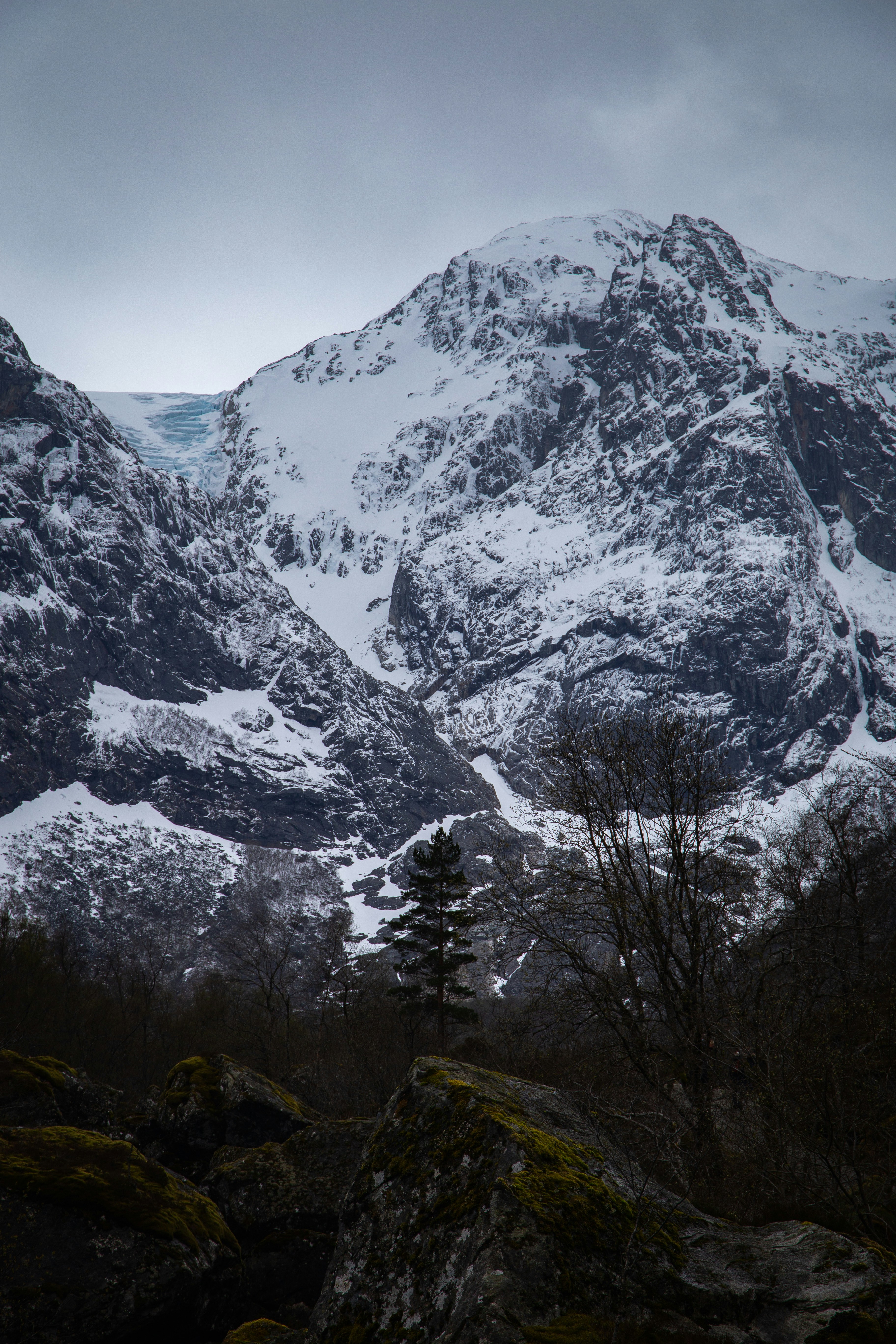 uma cordilheira coberta de neve com árvores em primeiro plano