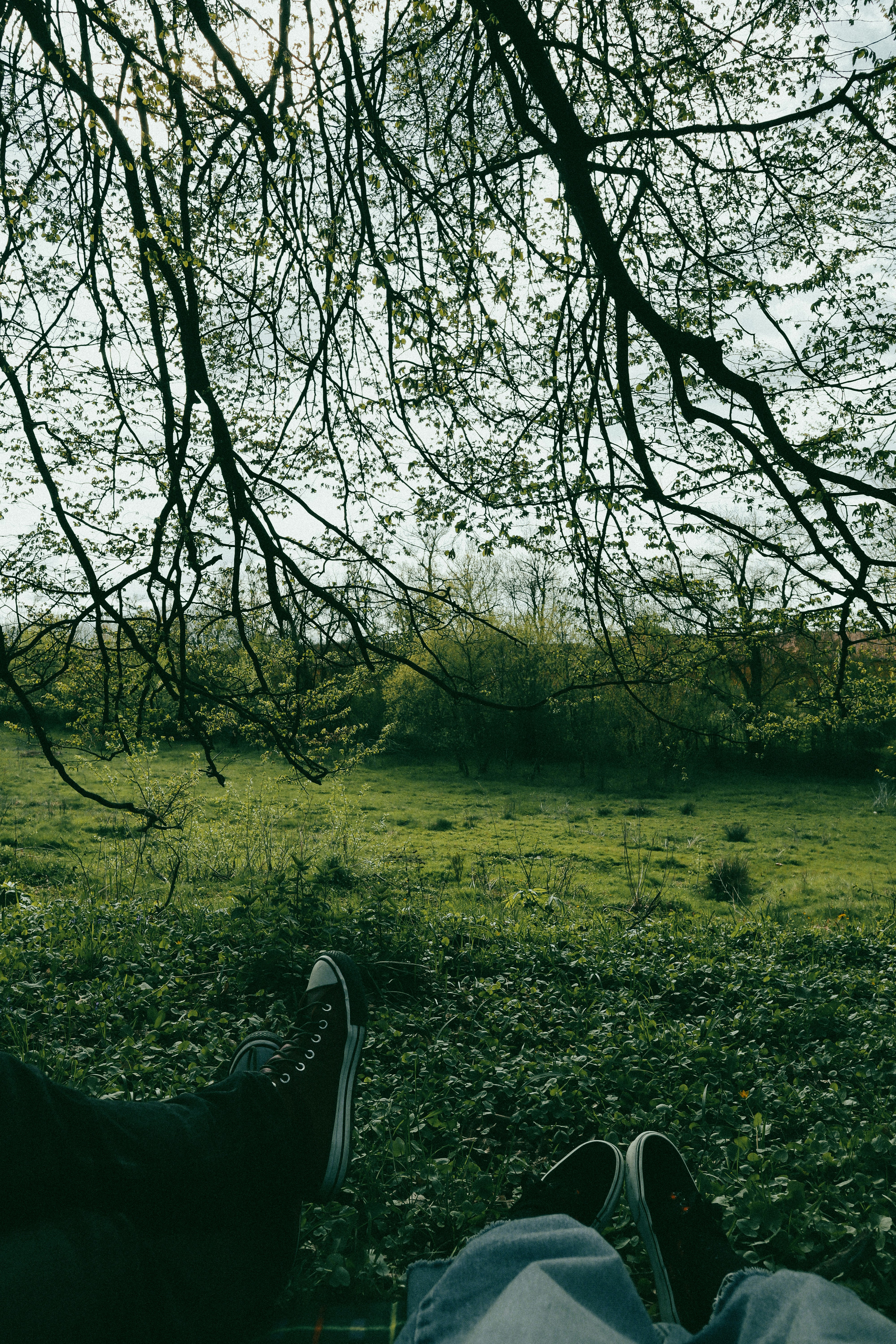 Photo by andaaa_lupulet