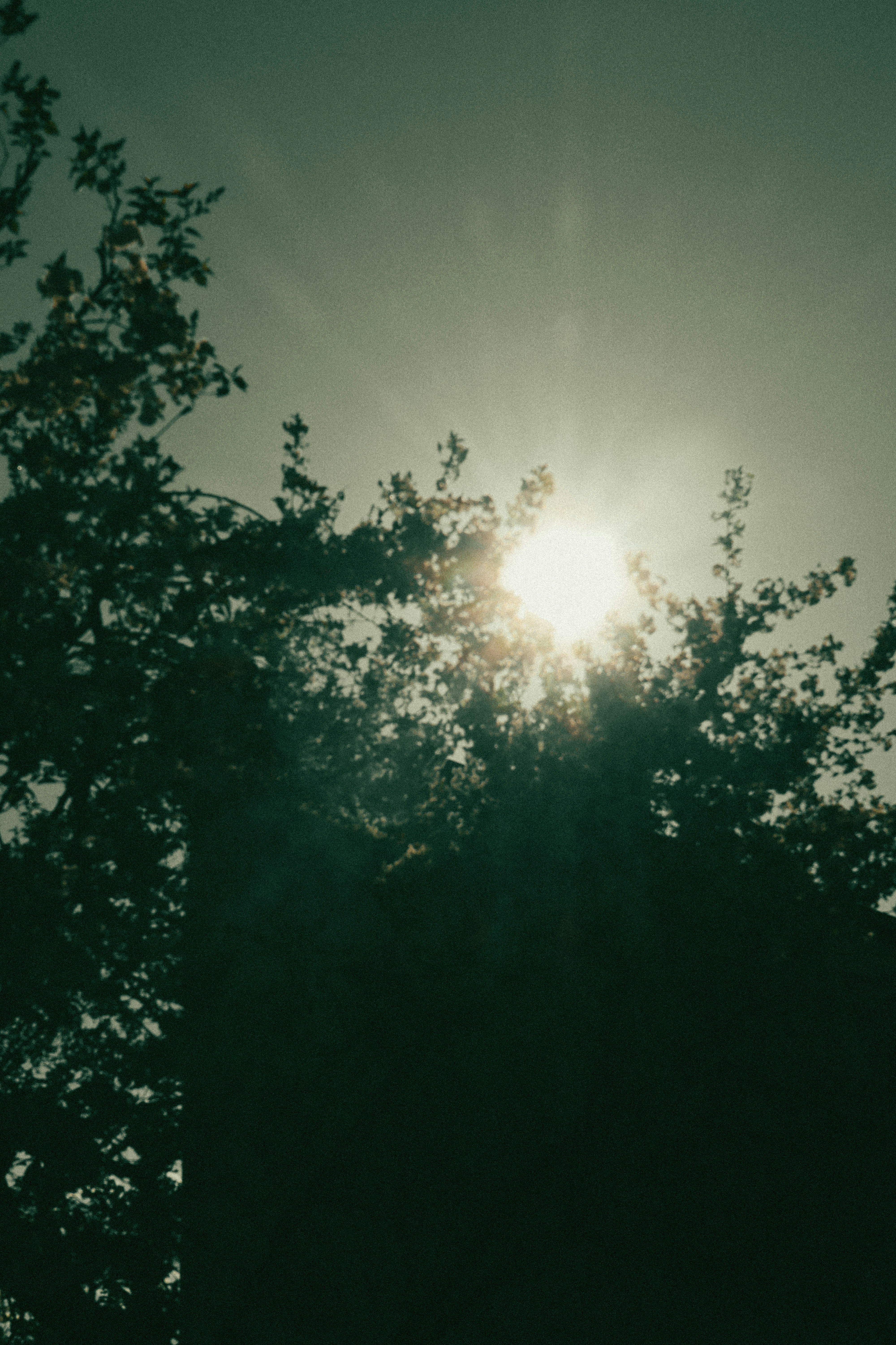 Photo by andaaa_lupulet