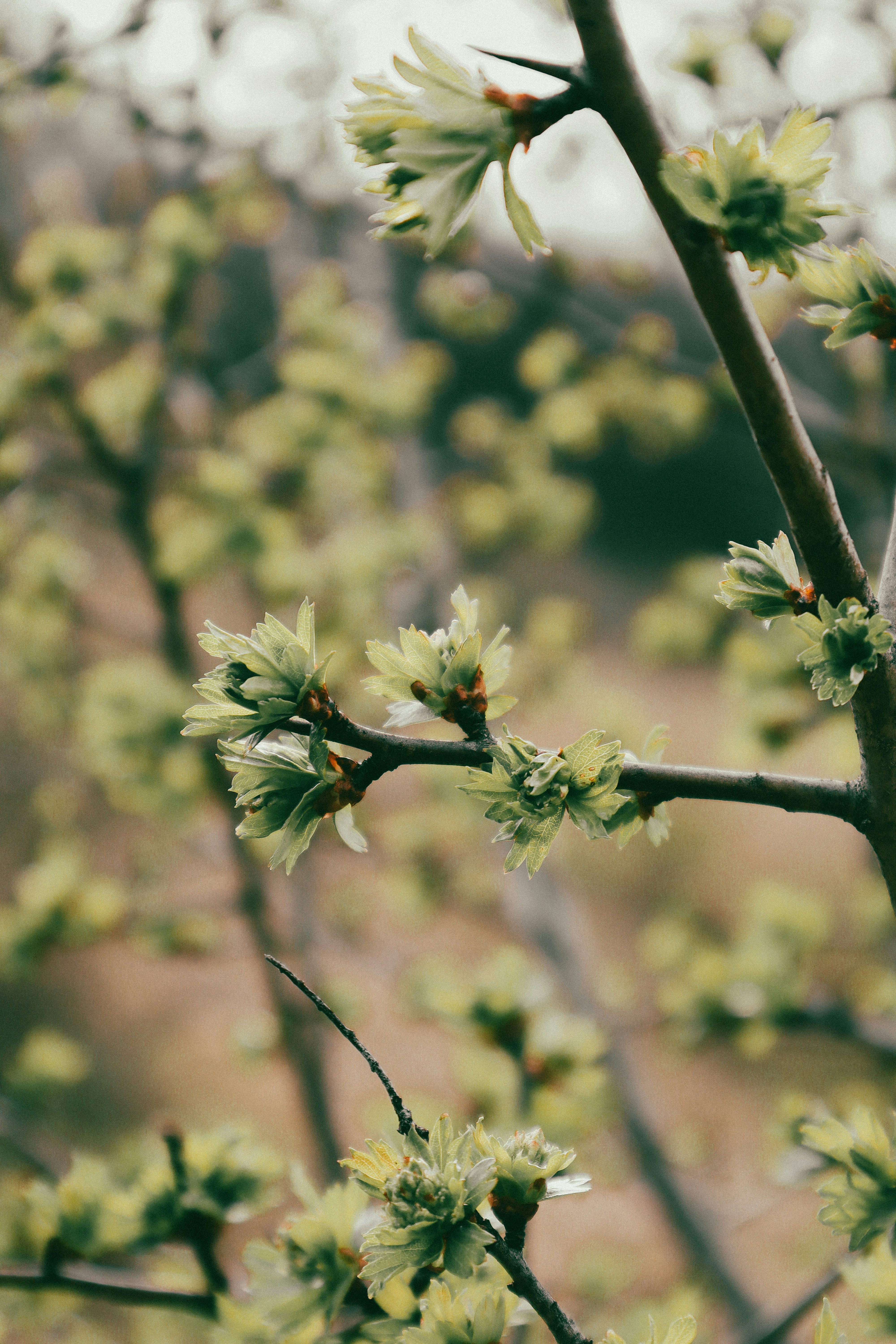 Photo by andaaa_lupulet