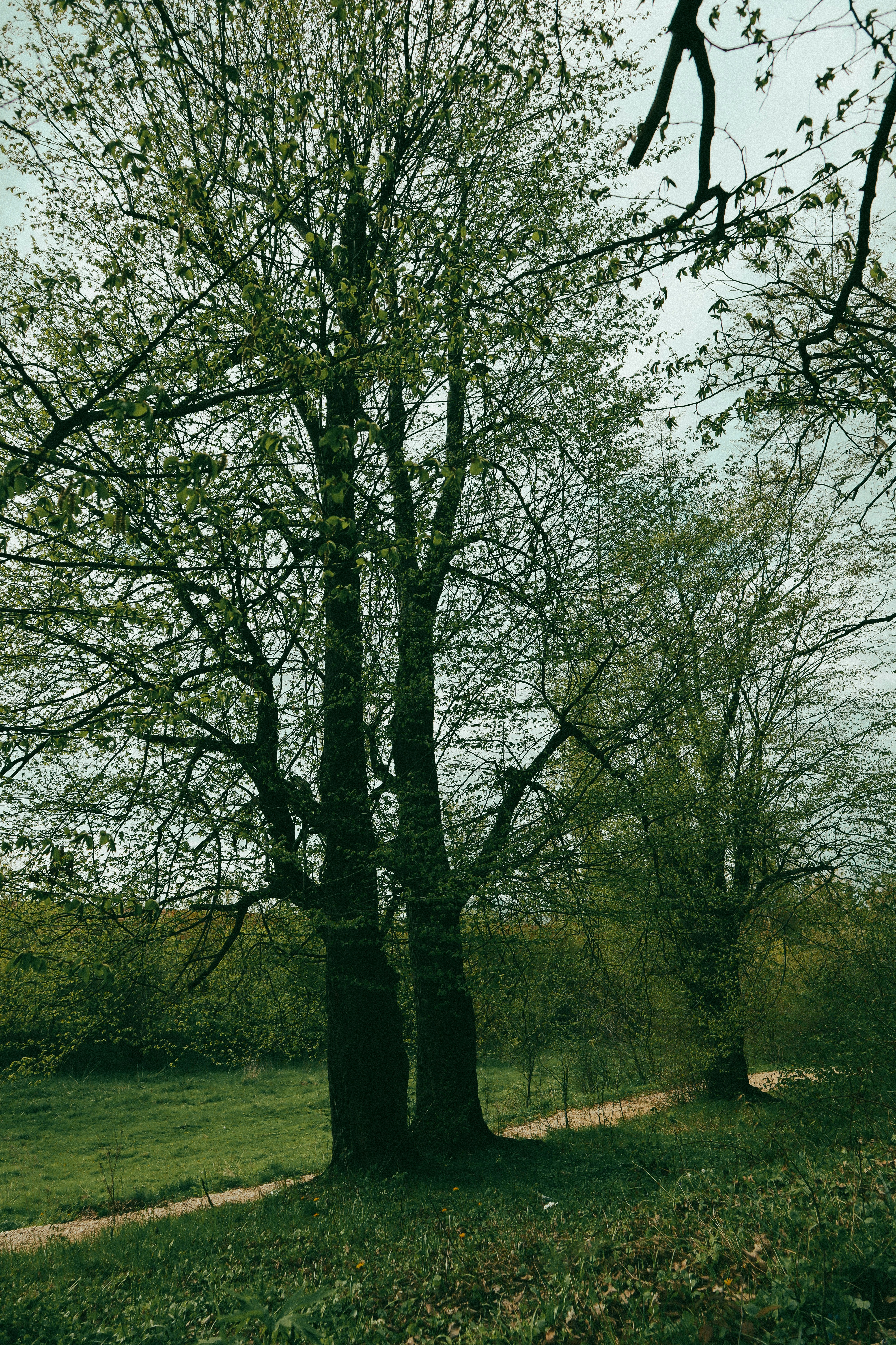 Photo by andaaa_lupulet