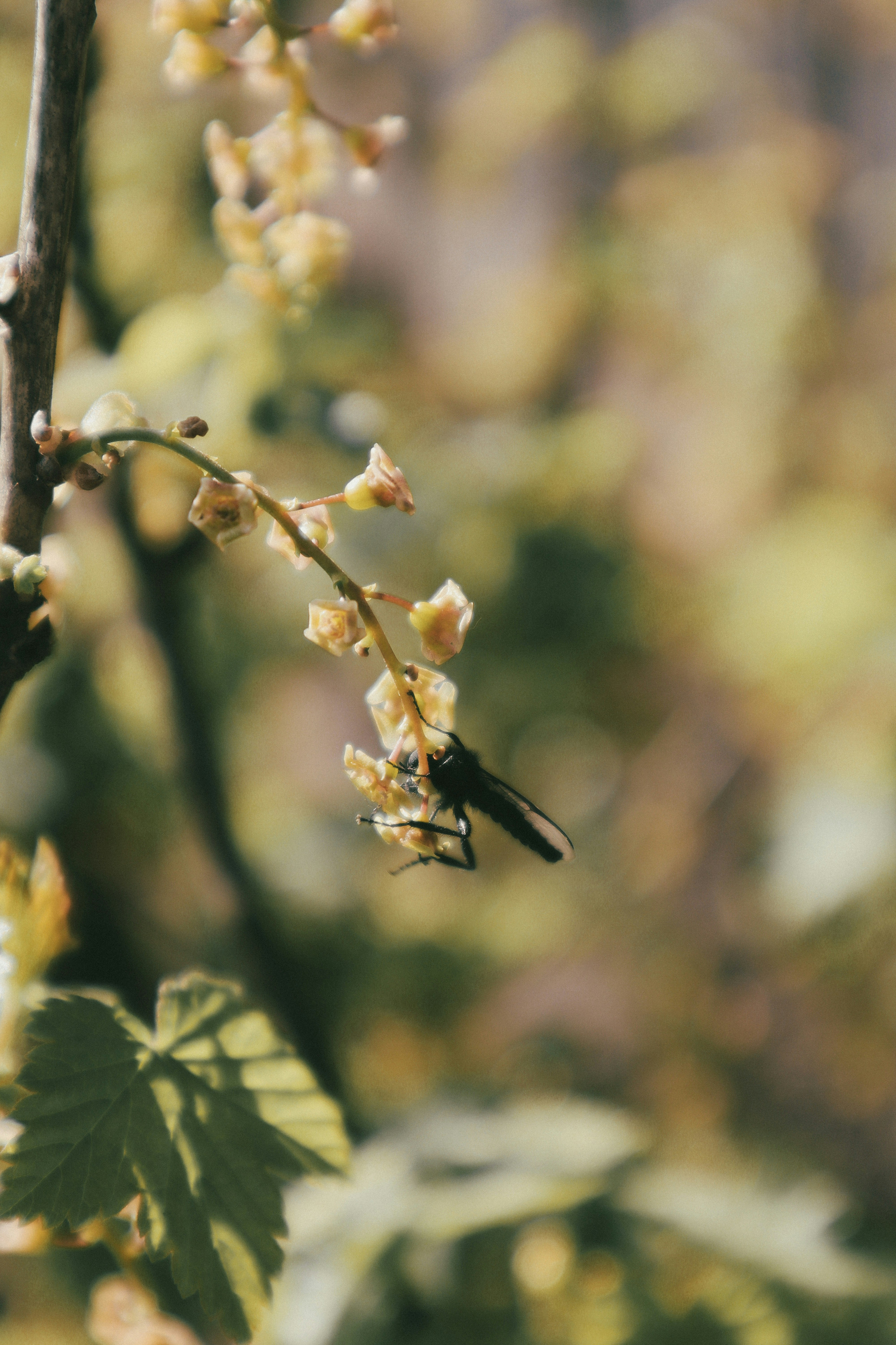 Photo by andaaa_lupulet