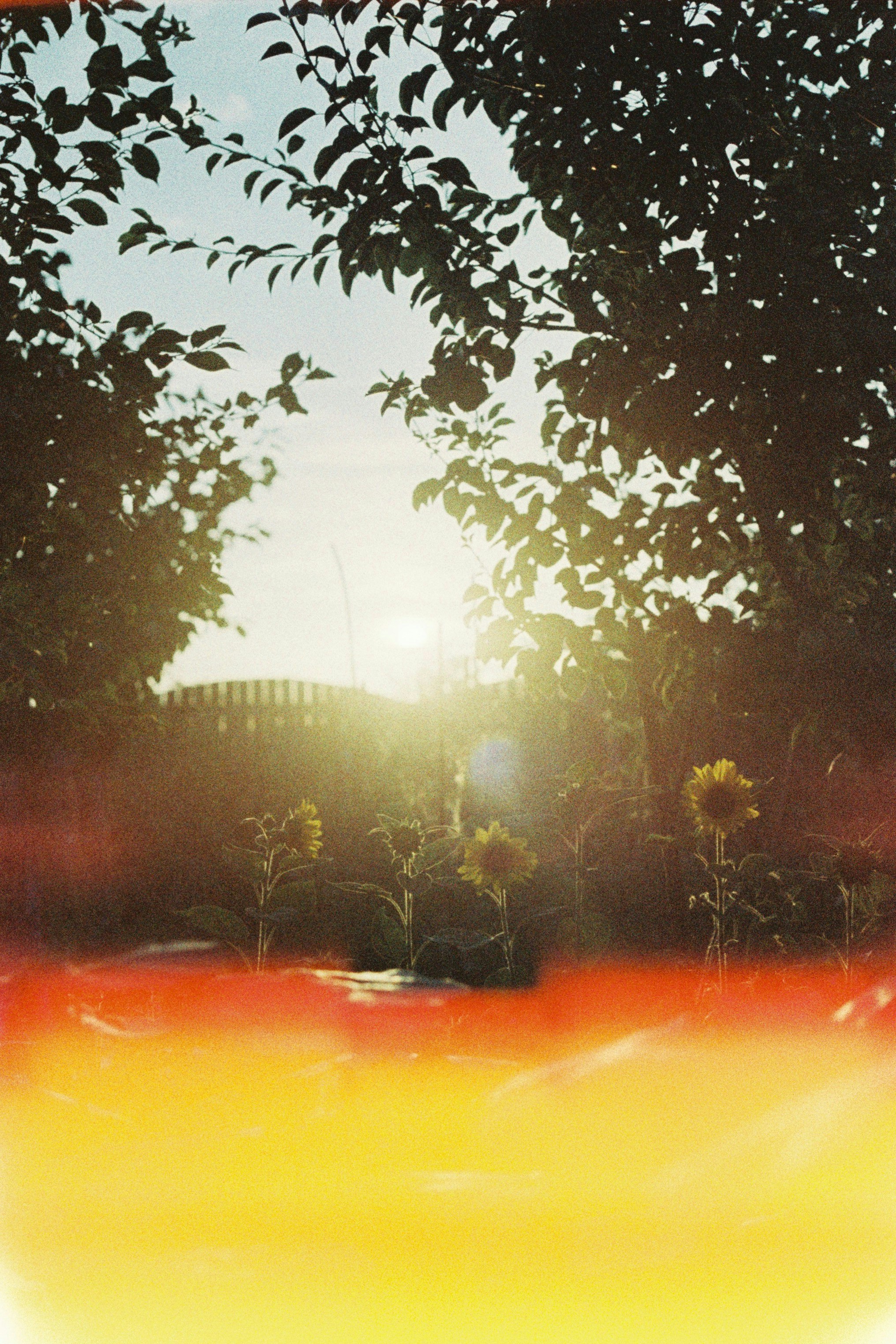 Photo by andaaa_lupulet