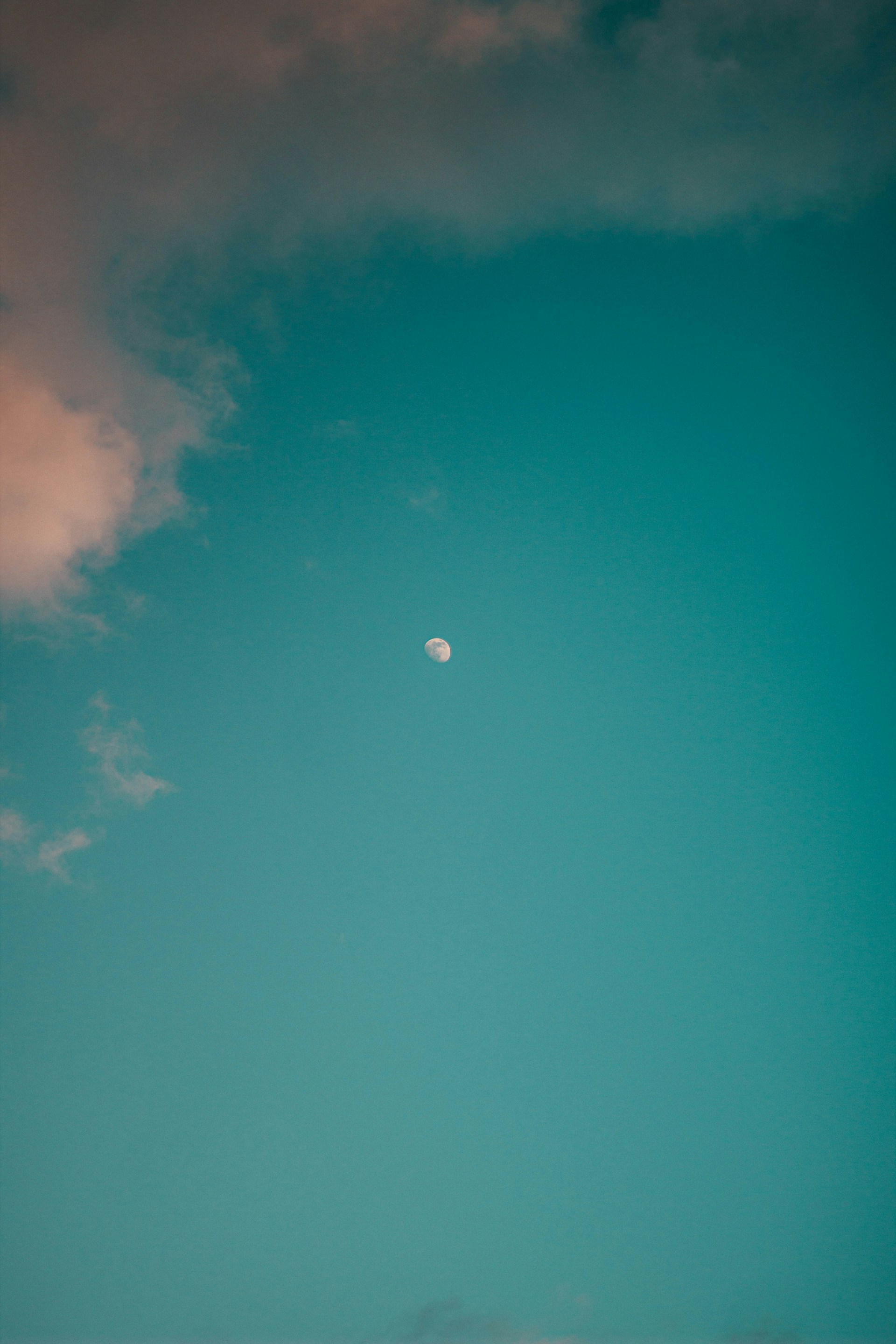 a full moon is seen in the sky
