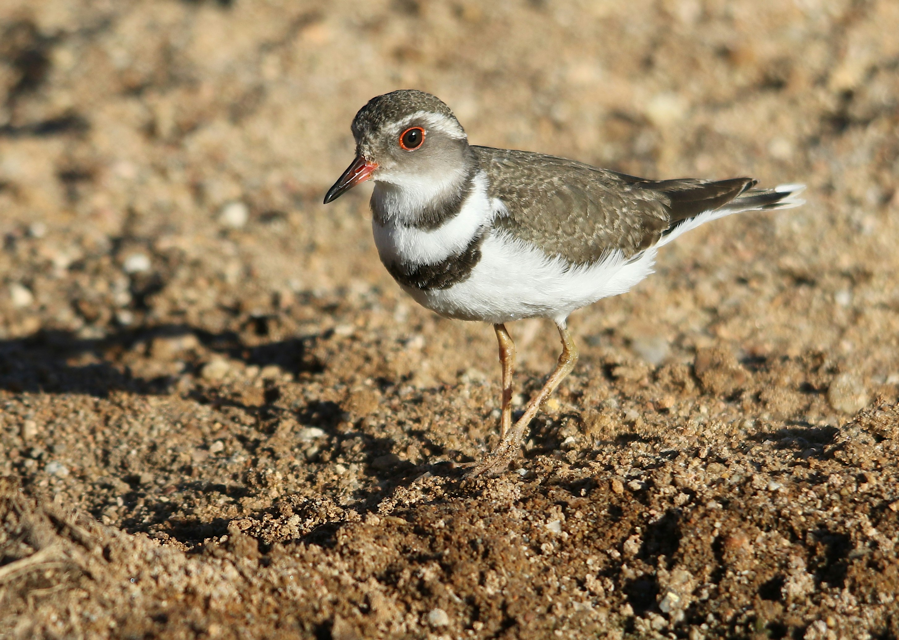 Photo by elizeartist