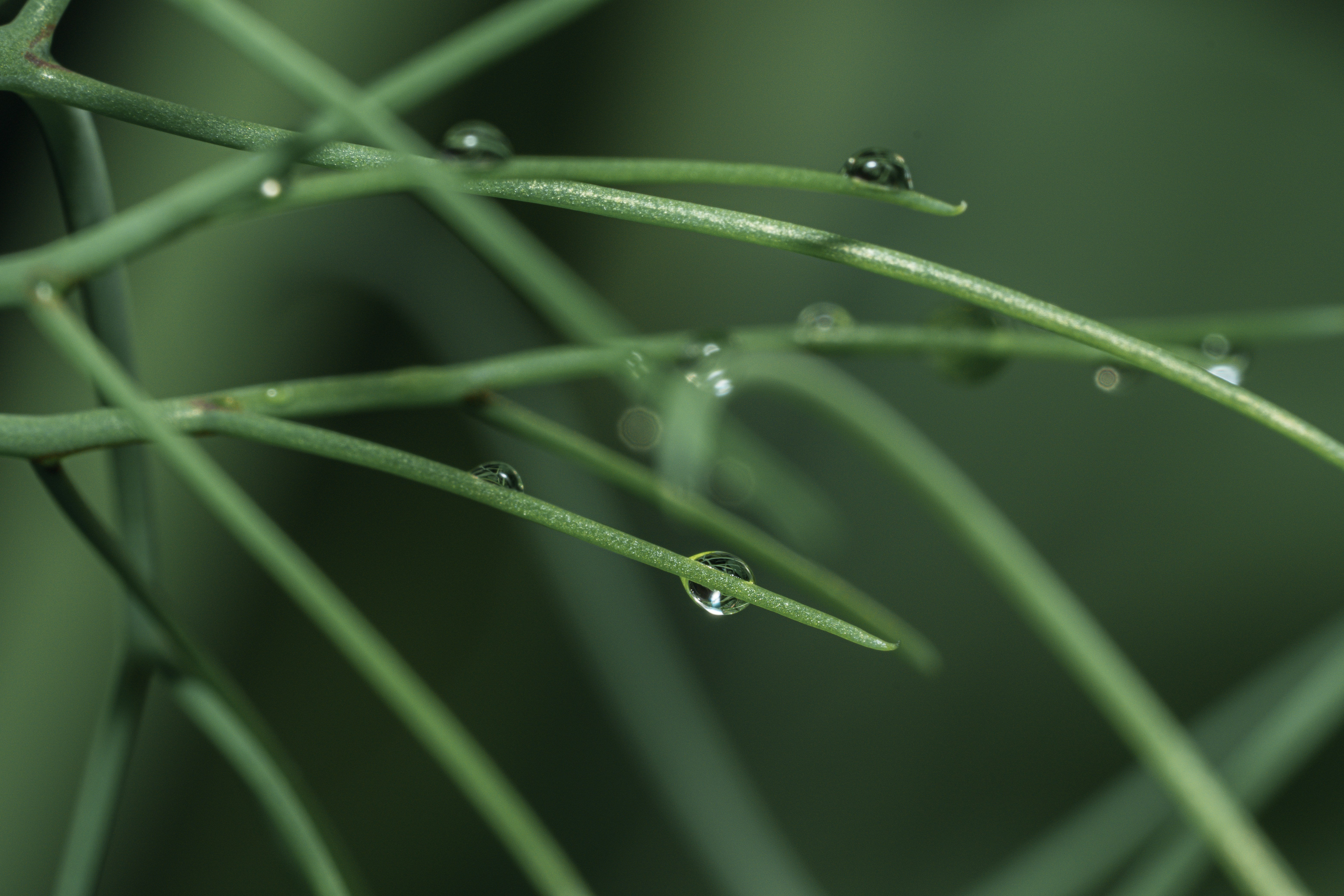 Photo by neringanorman