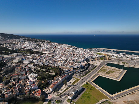 an aerial view of a city and a body of water