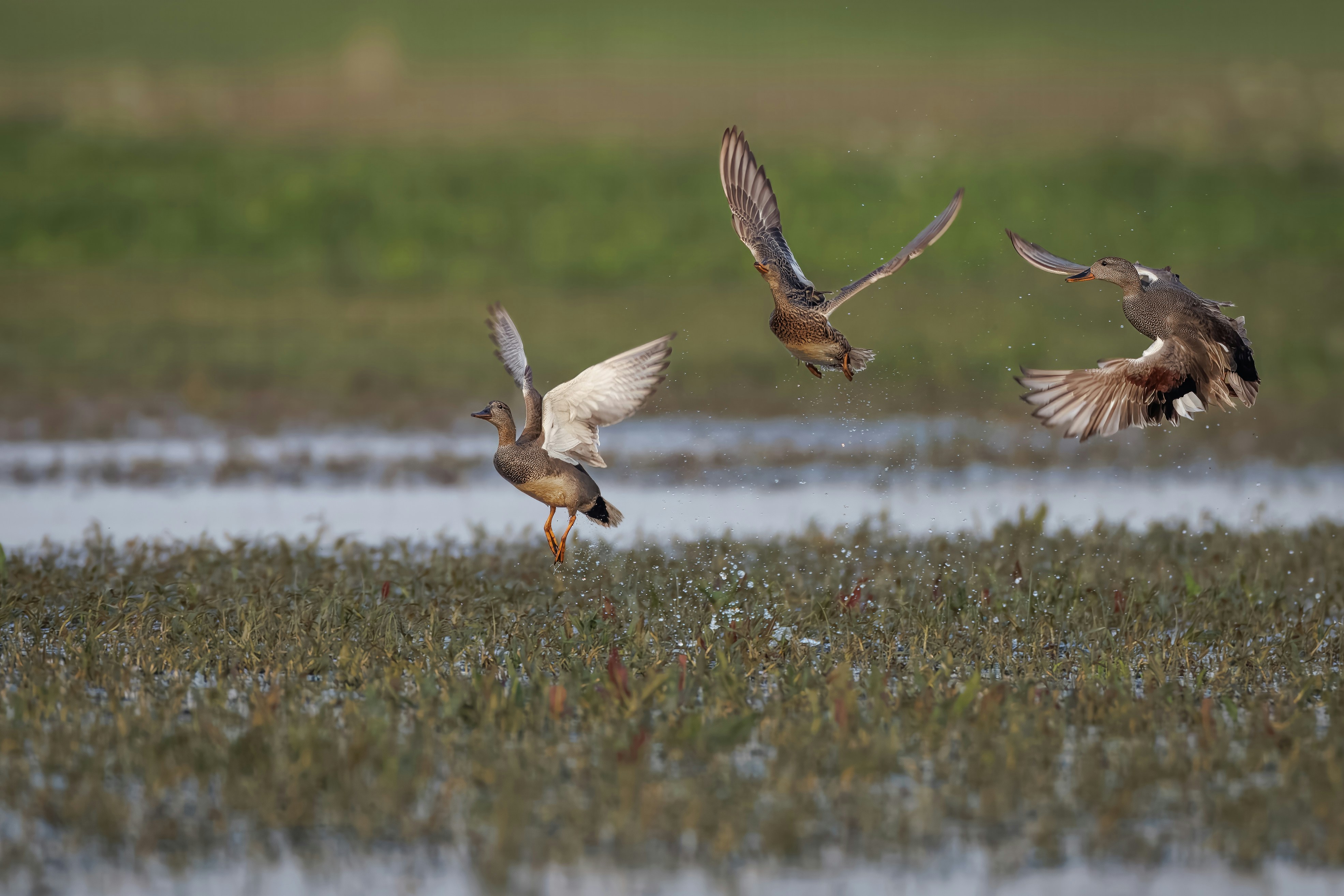 Photo by vincentvanzalinge