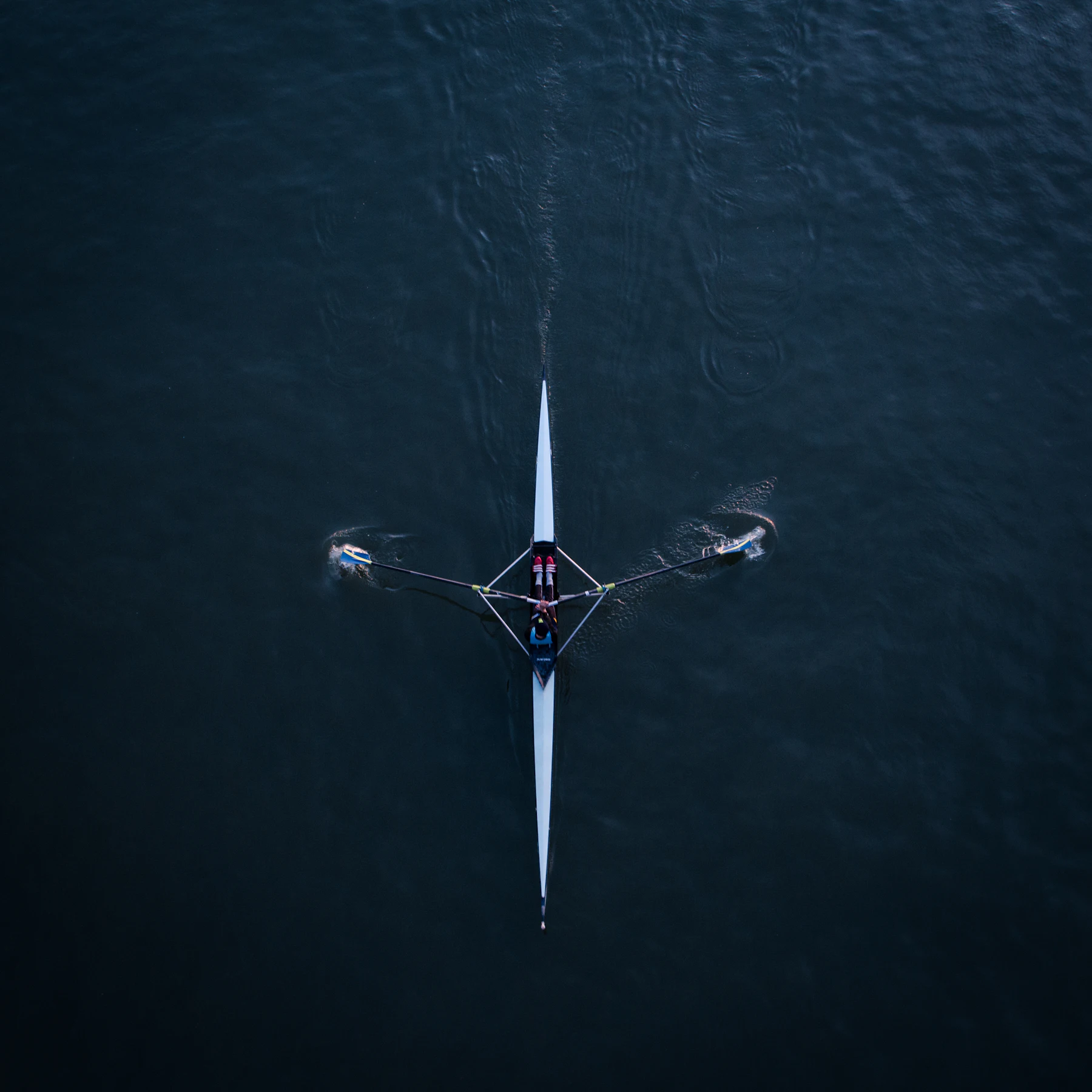 Rower training at dawn