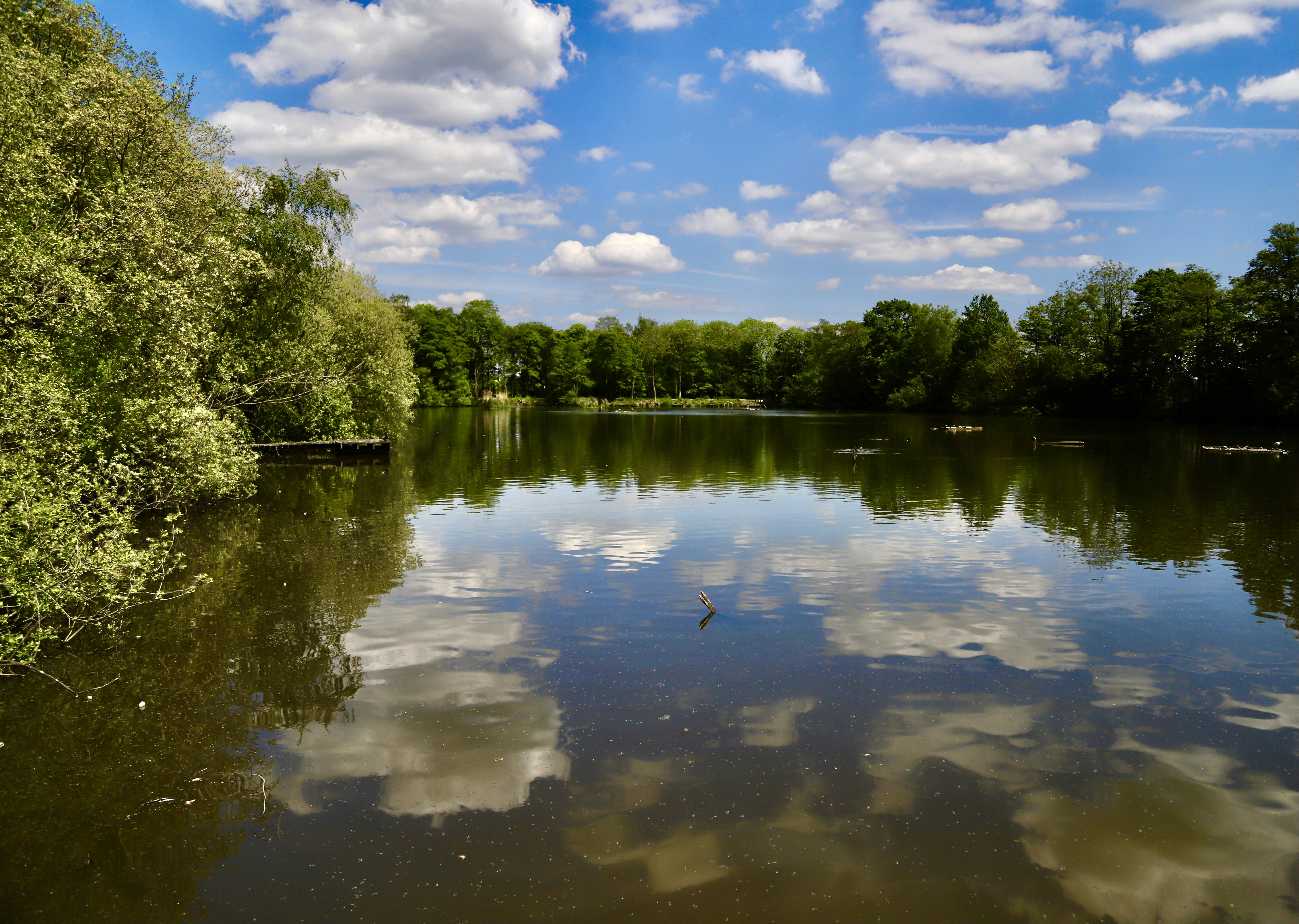 Photo by puffinadventures