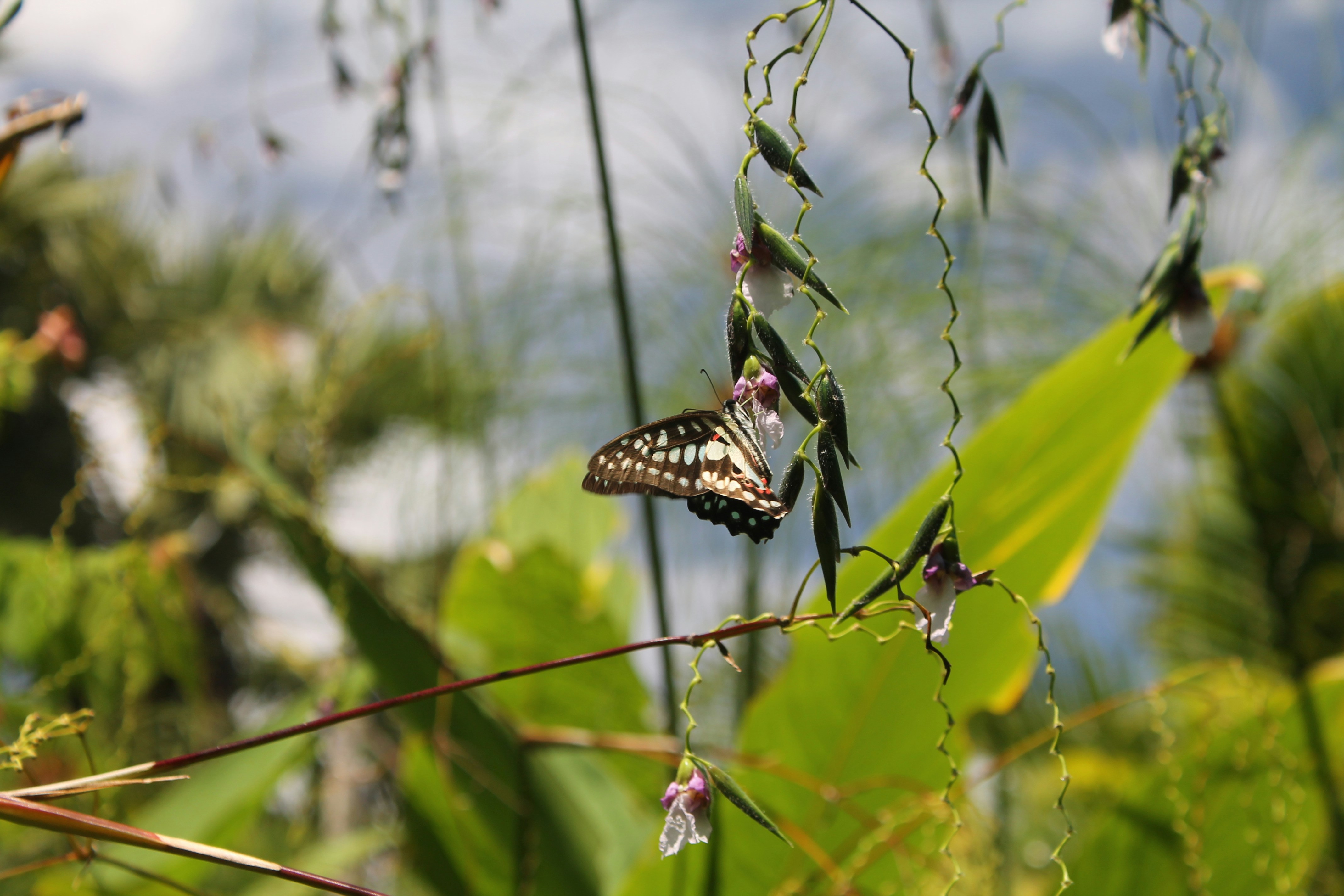 Photo by mathisgirard