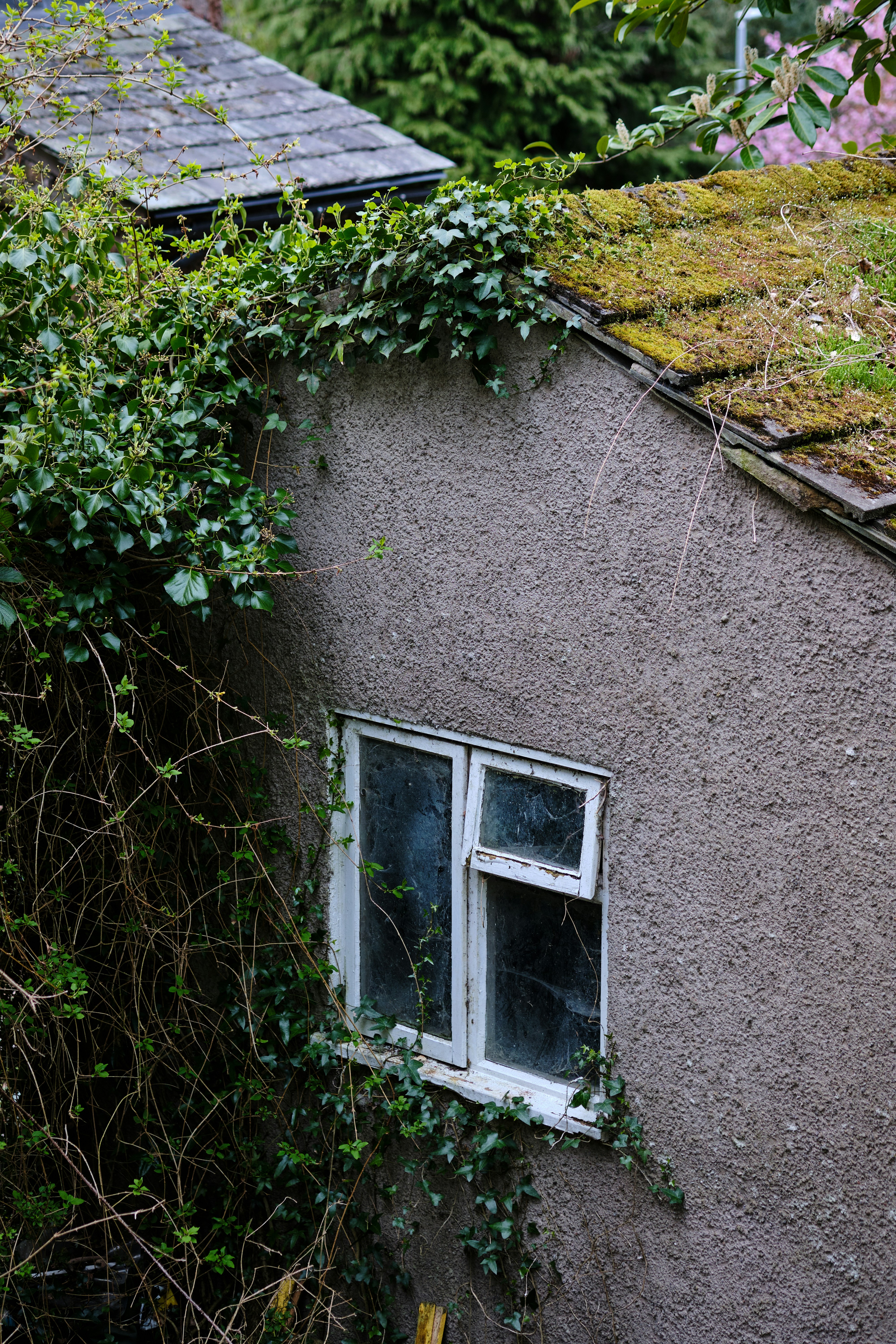 Photo by frostroomhead