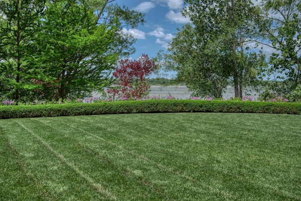 A well-manicured lawn extends across the foreground, bordered by a tidy row of hedges. Beyond the hedges, a variety of trees with lush green foliage and a few with red leaves create a natural screen. In the background, a body of water lies under a partly cloudy sky.