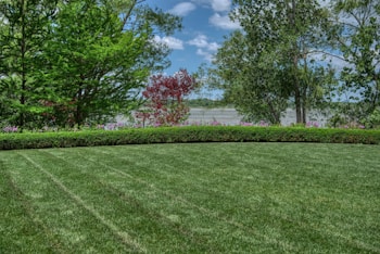 A well-manicured lawn extends across the foreground, bordered by a tidy row of hedges. Beyond the hedges, a variety of trees with lush green foliage and a few with red leaves create a natural screen. In the background, a body of water lies under a partly cloudy sky.