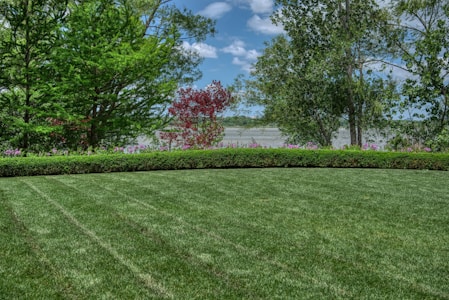 A well-manicured lawn extends across the foreground, bordered by a tidy row of hedges. Beyond the hedges, a variety of trees with lush green foliage and a few with red leaves create a natural screen. In the background, a body of water lies under a partly cloudy sky.