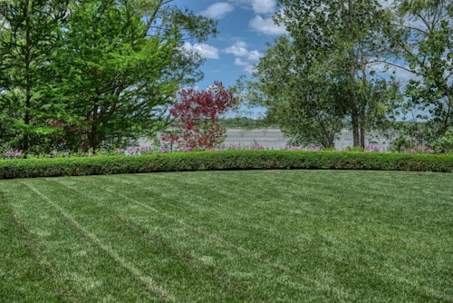 A well-manicured lawn extends across the foreground, bordered by a tidy row of hedges. Beyond the hedges, a variety of trees with lush green foliage and a few with red leaves create a natural screen. In the background, a body of water lies under a partly cloudy sky.