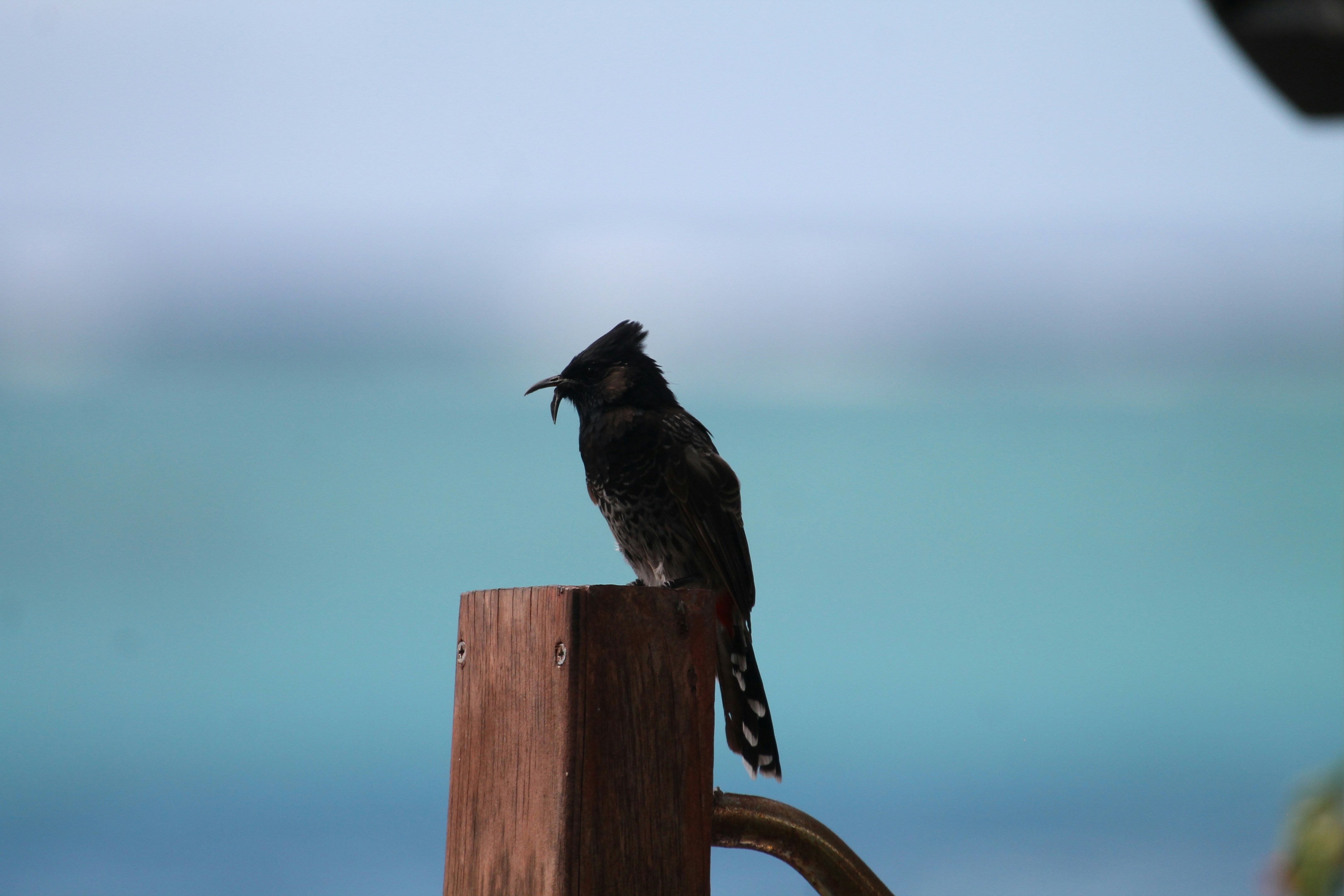 Photo by mathisgirard