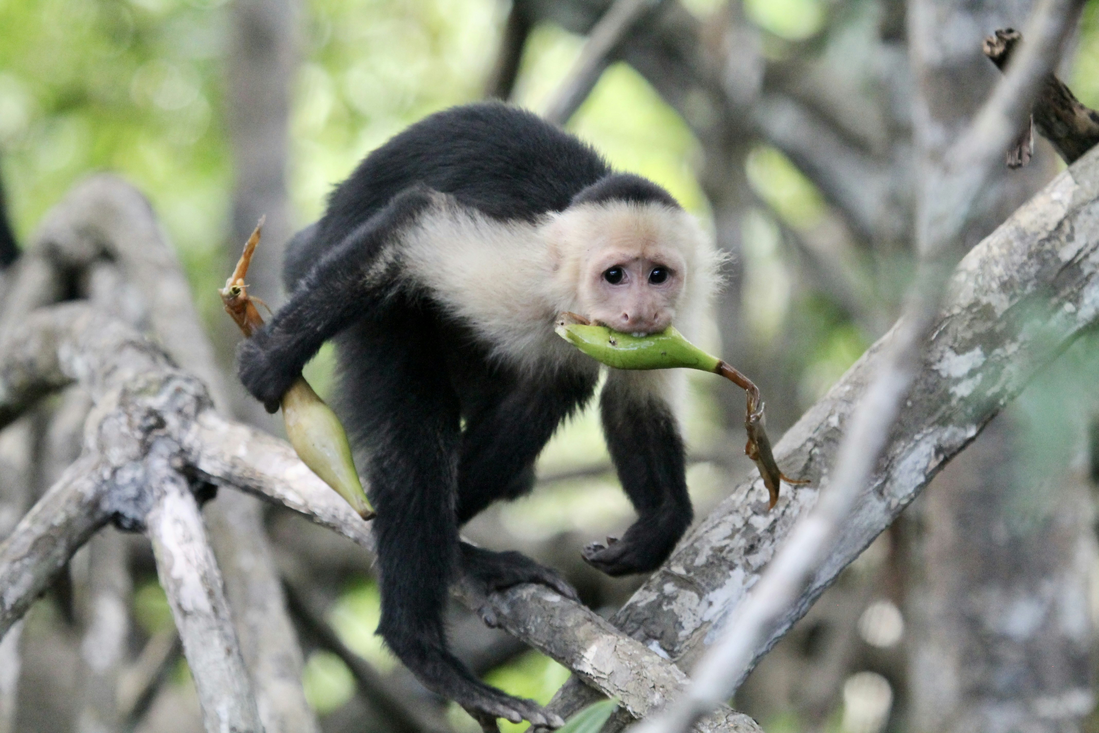 Photo by mathisgirard