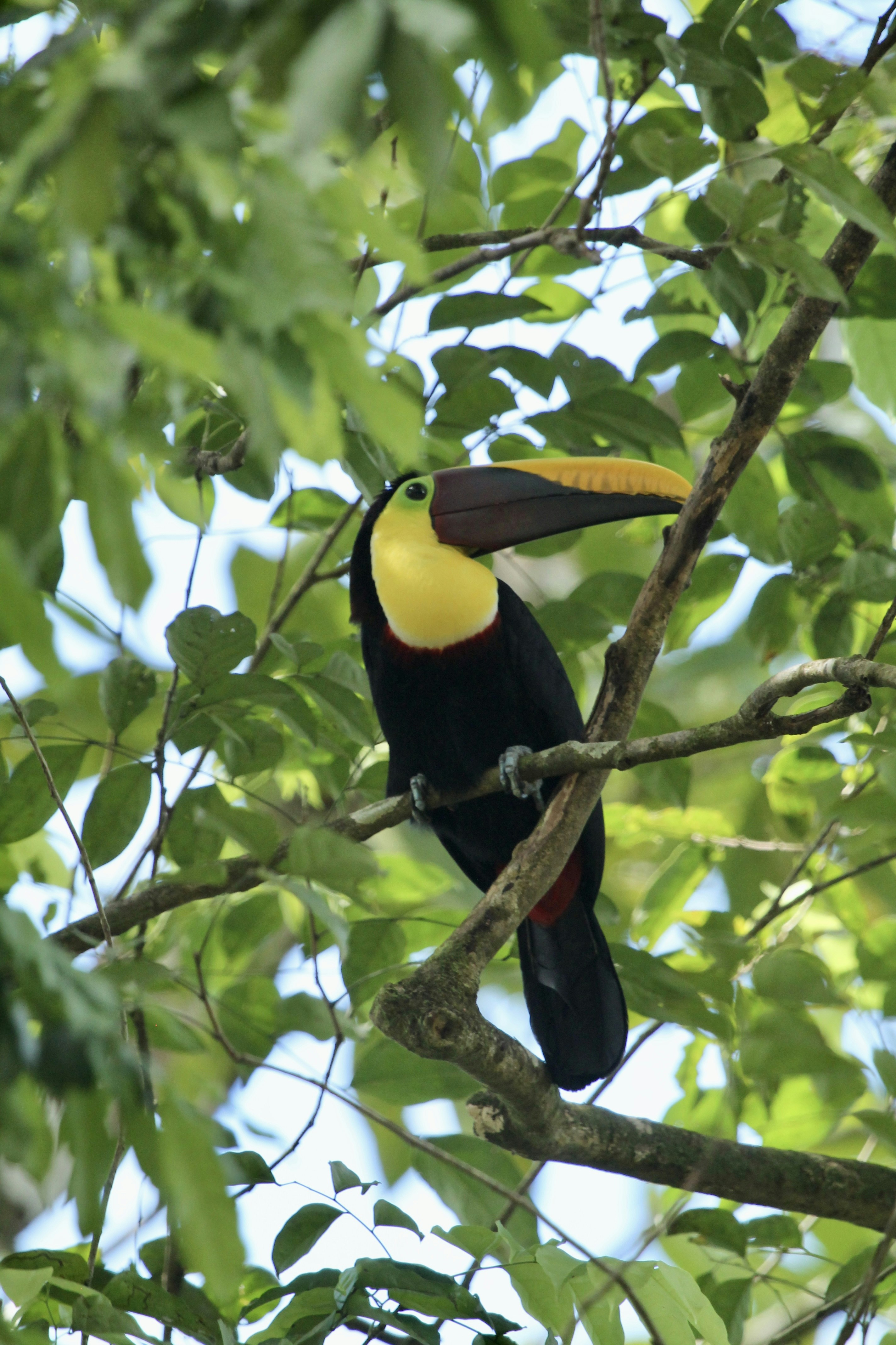 Photo by mathisgirard