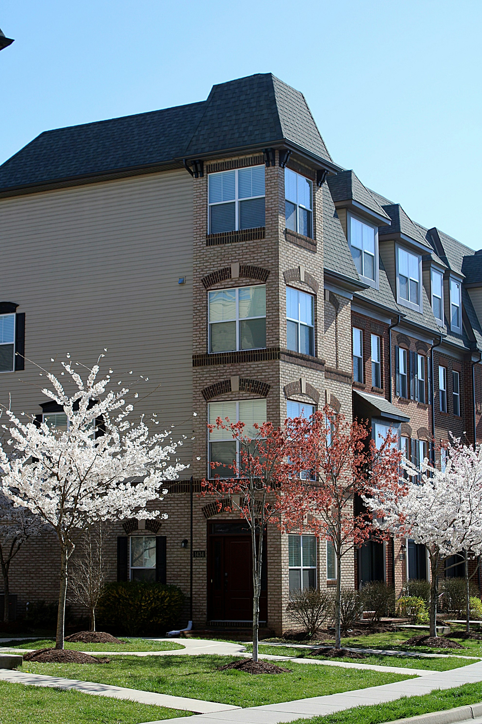 Photo by charles_ray