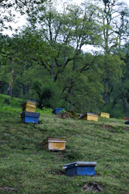 Boxes of beesmarts honey ready for shipment with eco-friendly packaging.