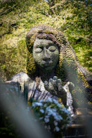 A serene outdoor arts ritual ceremony blending nature and therapeutic creativity.